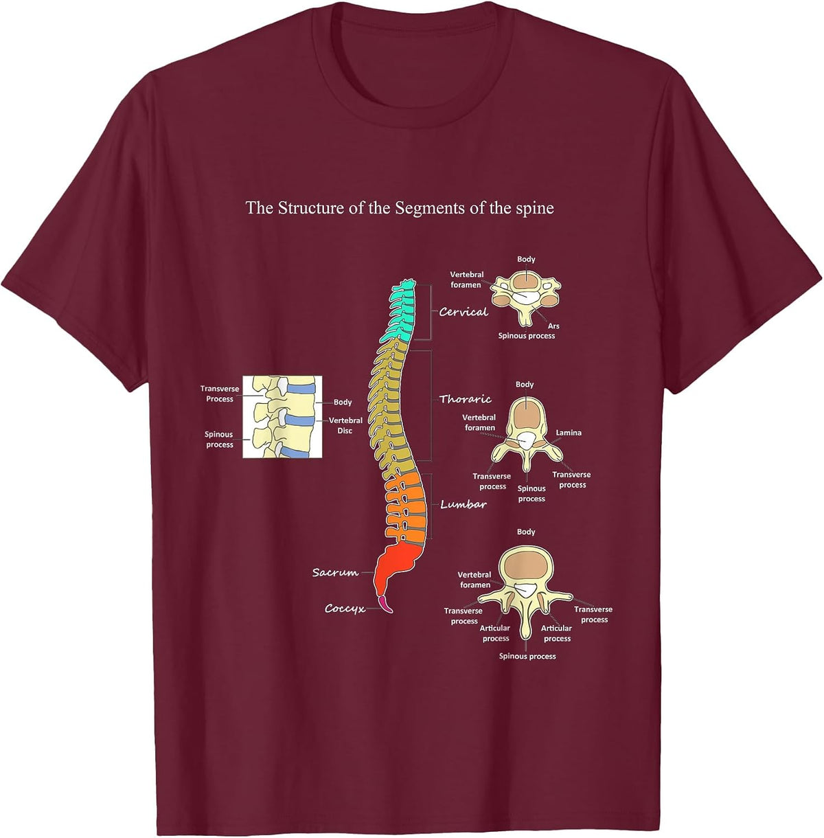 Spine Anatomy Artwork Chiropractic Medical Orthopedic T T-Shirt - Burgundy