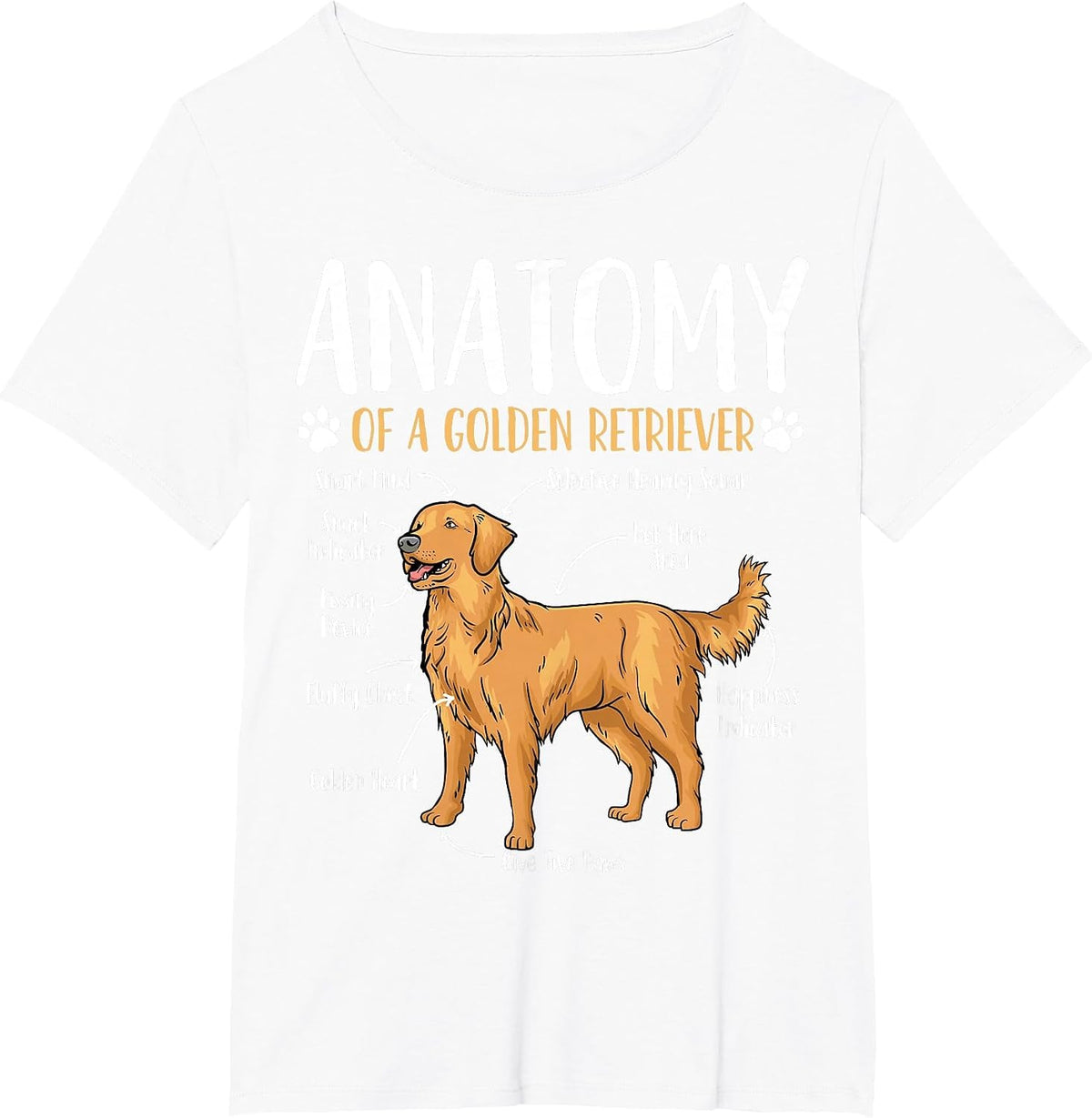 Golden Retriever Dog Anatomy T-Shirt - White