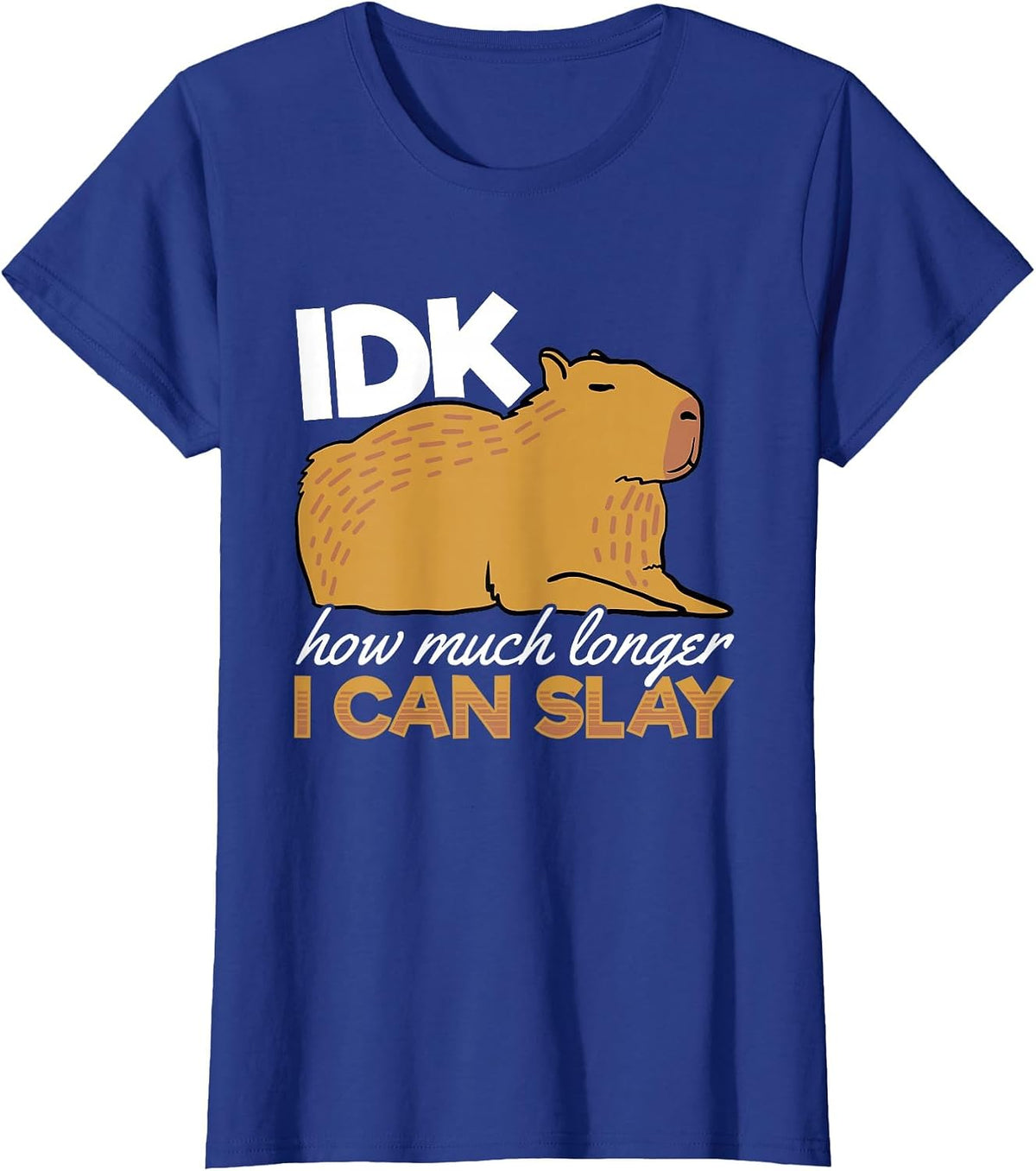 Capybara Animals Pet - IDK How Much Longer I Can Slay T-Shirt - Royal Blue