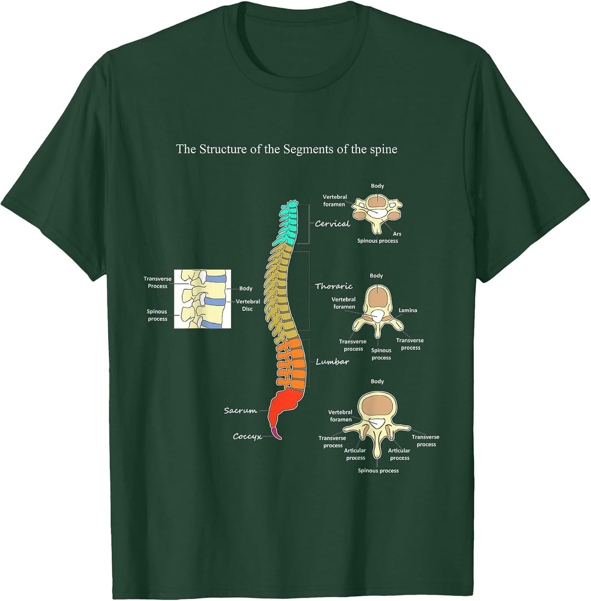Spine Anatomy Artwork Chiropractic Medical Orthopedic T T-Shirt - Dark Green