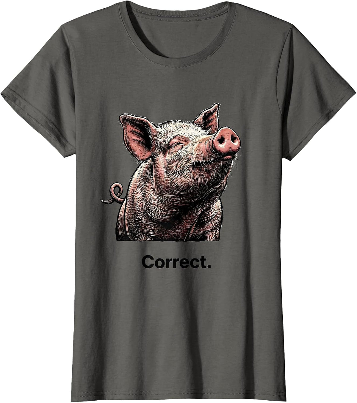 Women's Correct Funny Pig Farm Animal Lover Gift T-Shirt - Asphalt Grey