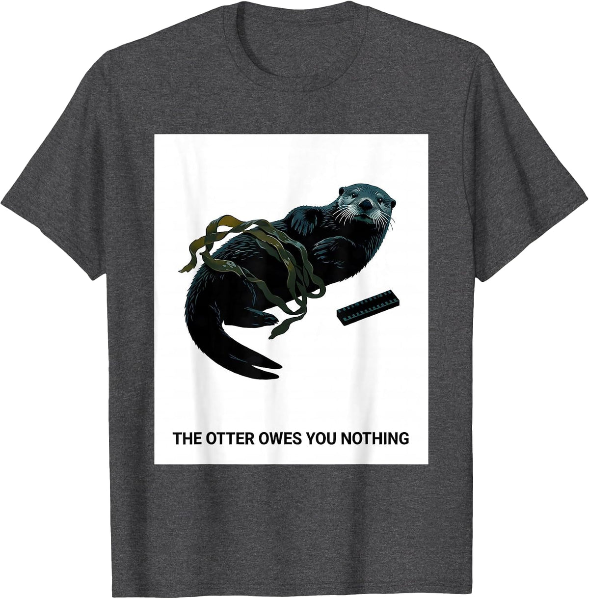 The Otter Owes You Nothing Minimalist National Parks Hiker T-Shirt - Dark Heather Grey
