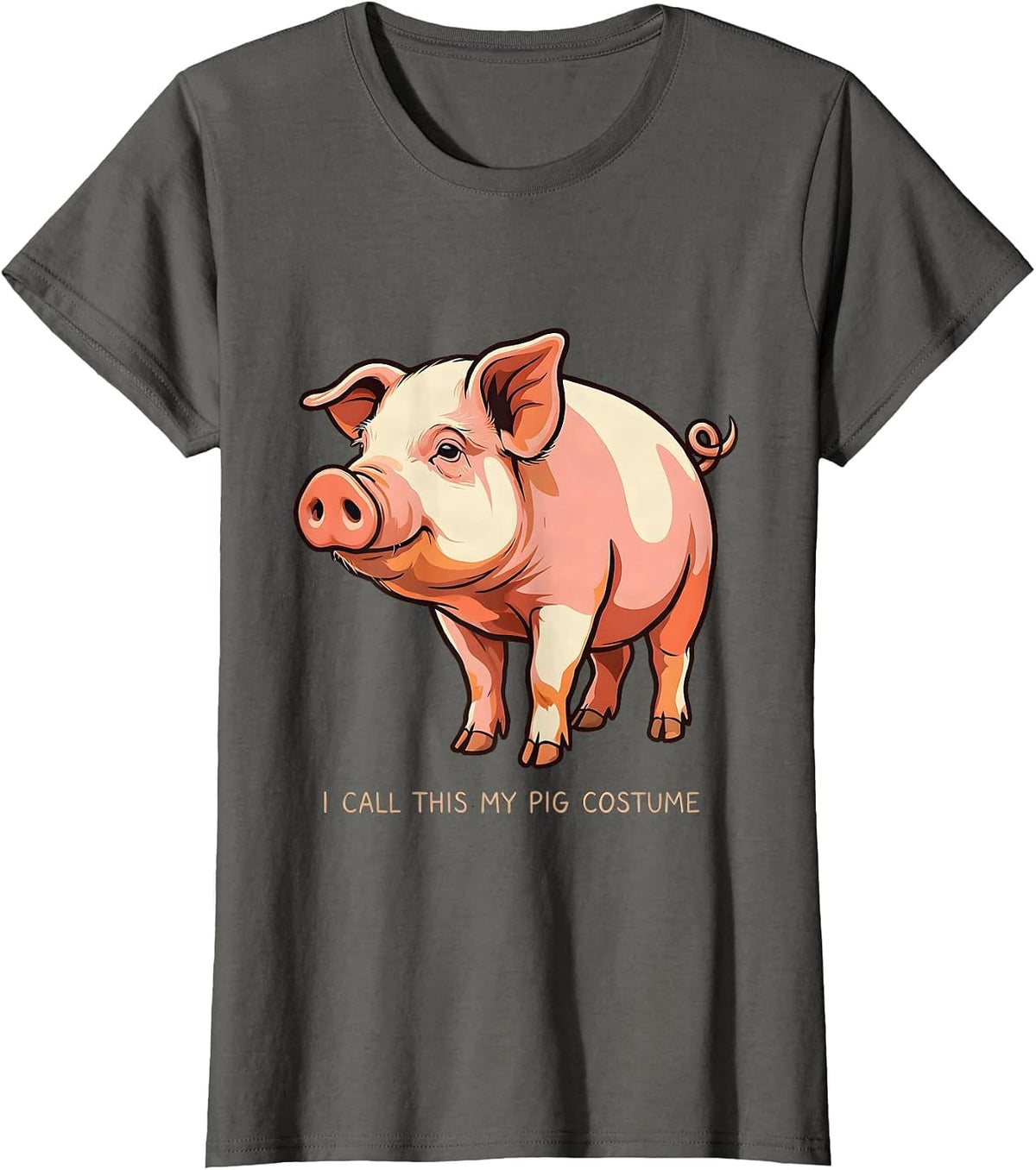 Women's I Call This My Pig Costume Funny Pig Lover Halloween Costume T-Shirt - Asphalt Grey