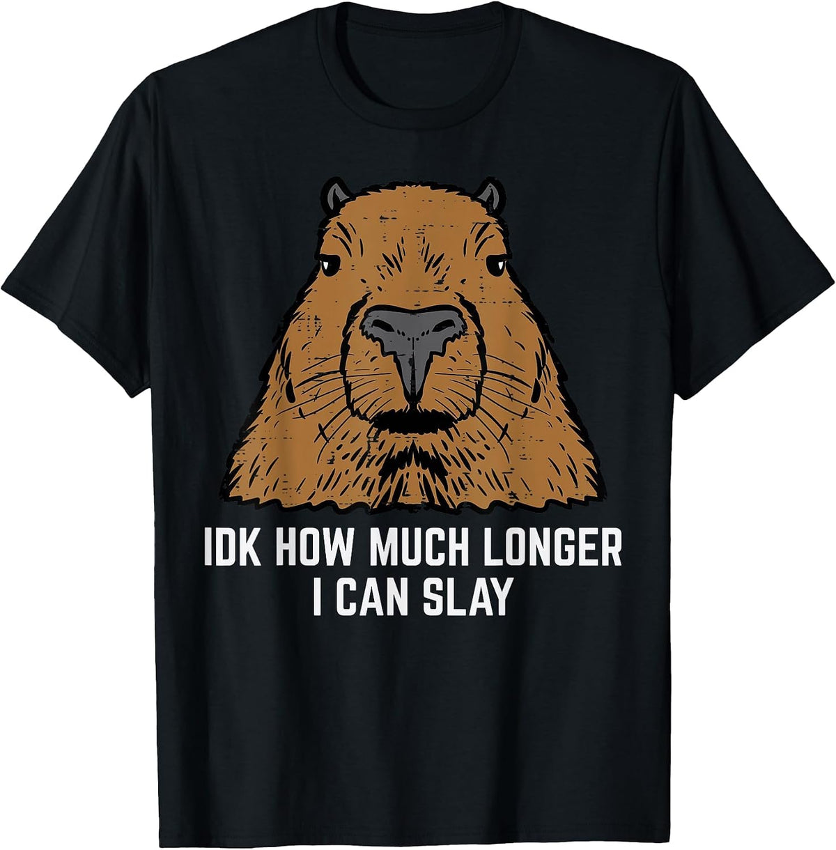 Capybara IDK How Much I Can Slay Capy Rodent Women Men Kids T-Shirt - Black