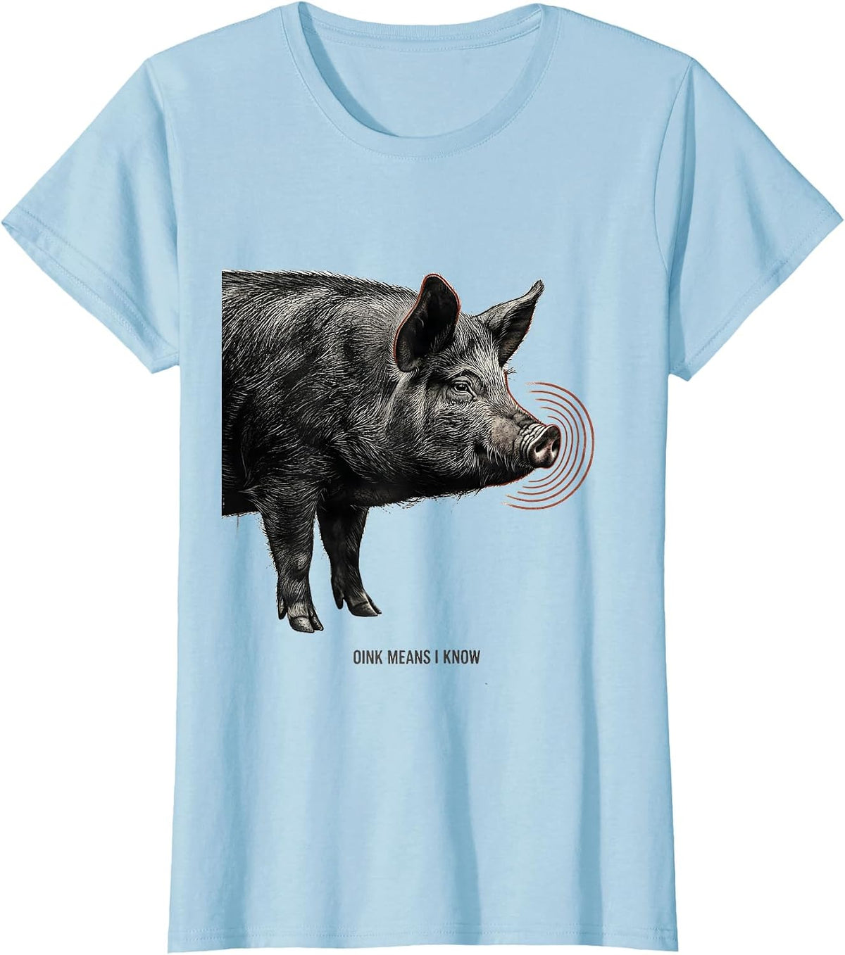 Oink Means I Know Funny Pet Pig Lover Cavy Owner Gift T-Shirt - Baby Blue