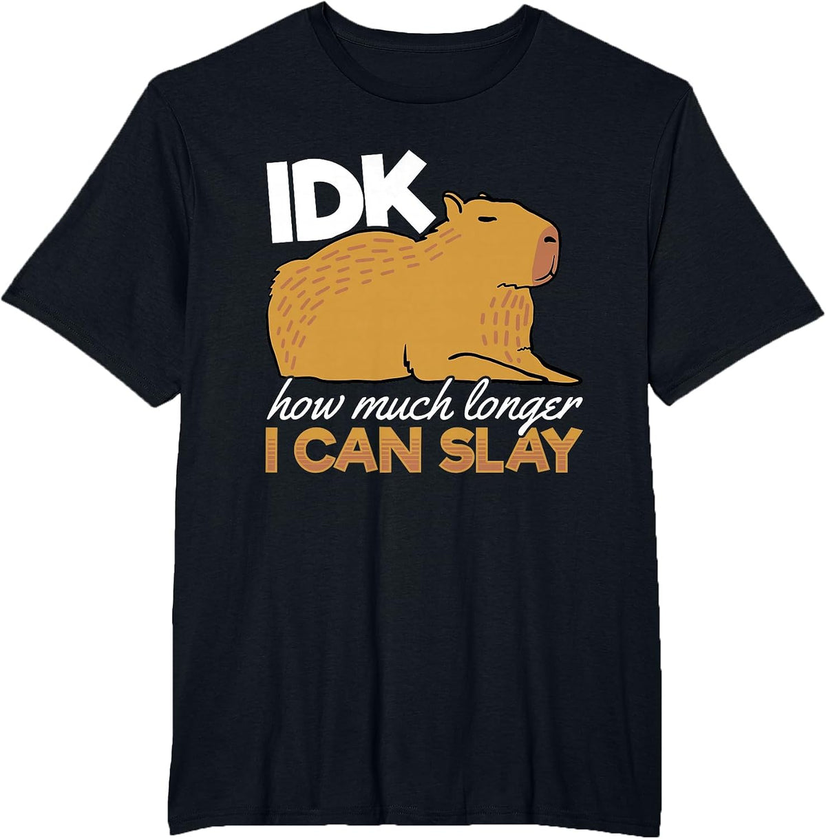 Capybara Animals Pet - IDK How Much Longer I Can Slay T-Shirt - Black