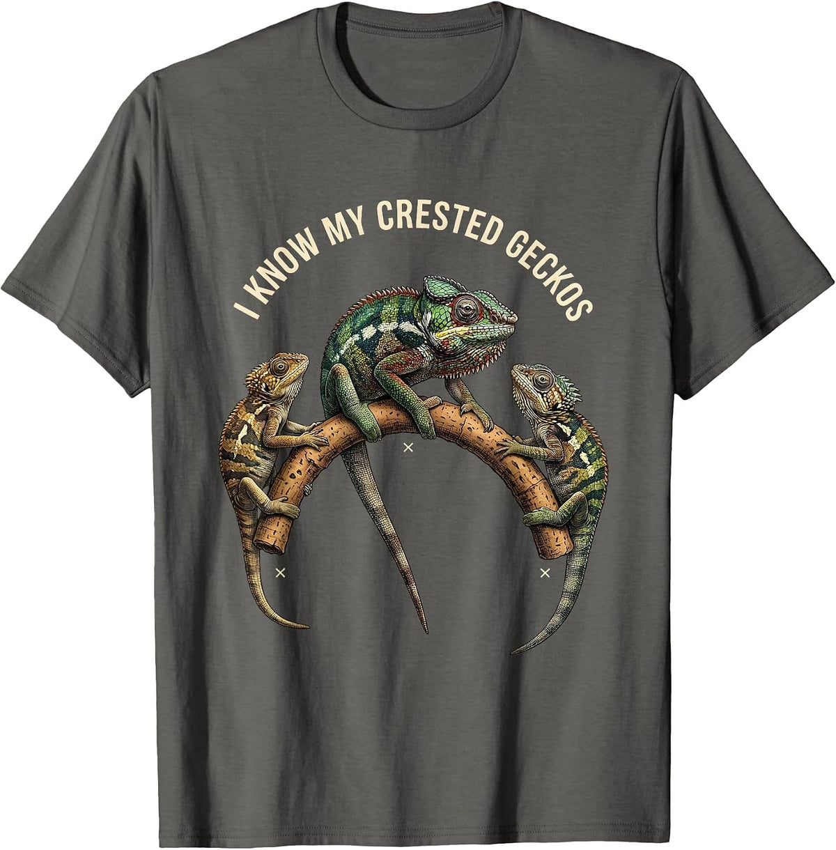 I Know My Crested Geckos Funny Reptile Lover Pet Humor T-Shirt - Asphalt Grey