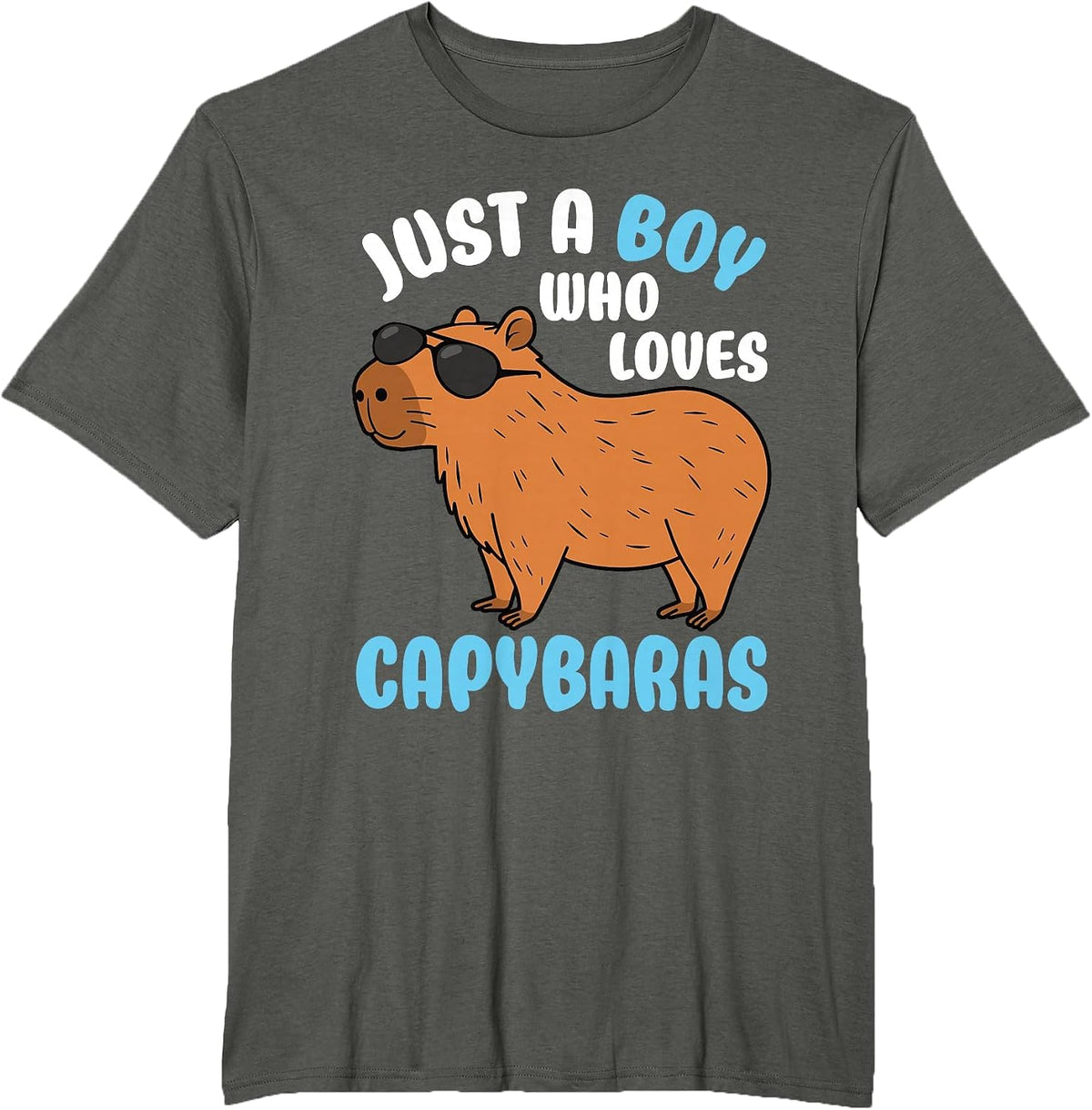 Just A Boy Who Loves Capybaras Rodent Capybara Lover T-Shirt - Asphalt Grey