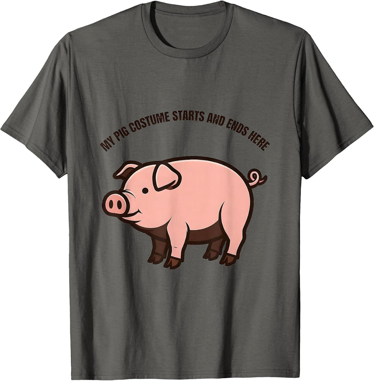 My Pig Costume Starts And Ends Here Funny Pig Lover T-Shirt - Asphalt Grey