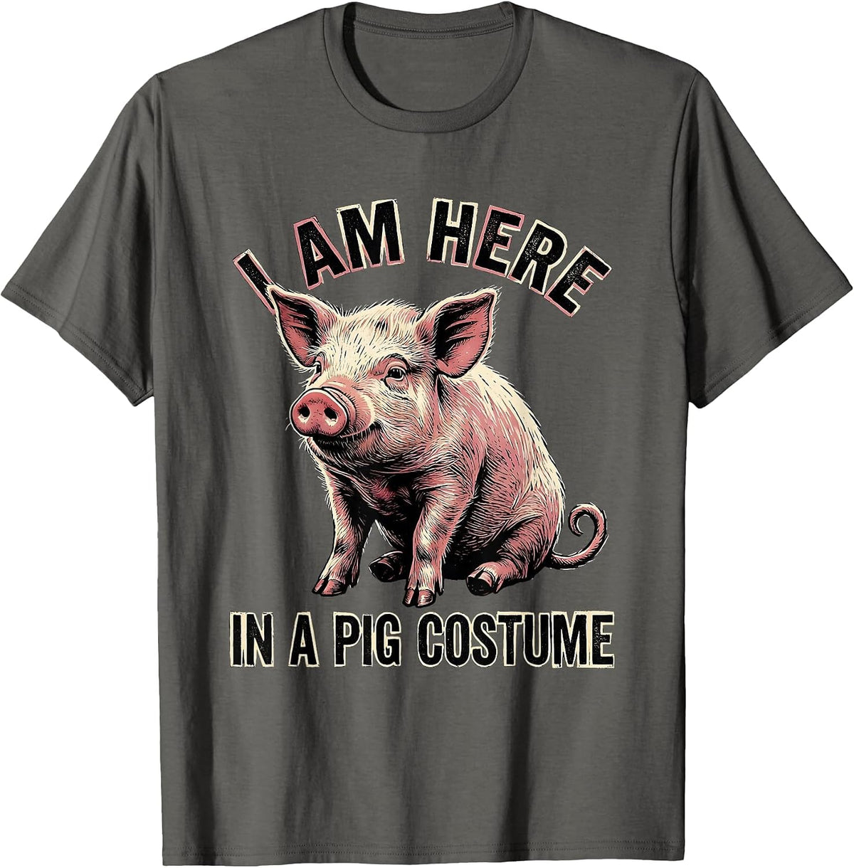 I Am Here In A Pig Costume Funny Pig Lover Halloween Costume T-Shirt - Asphalt Grey