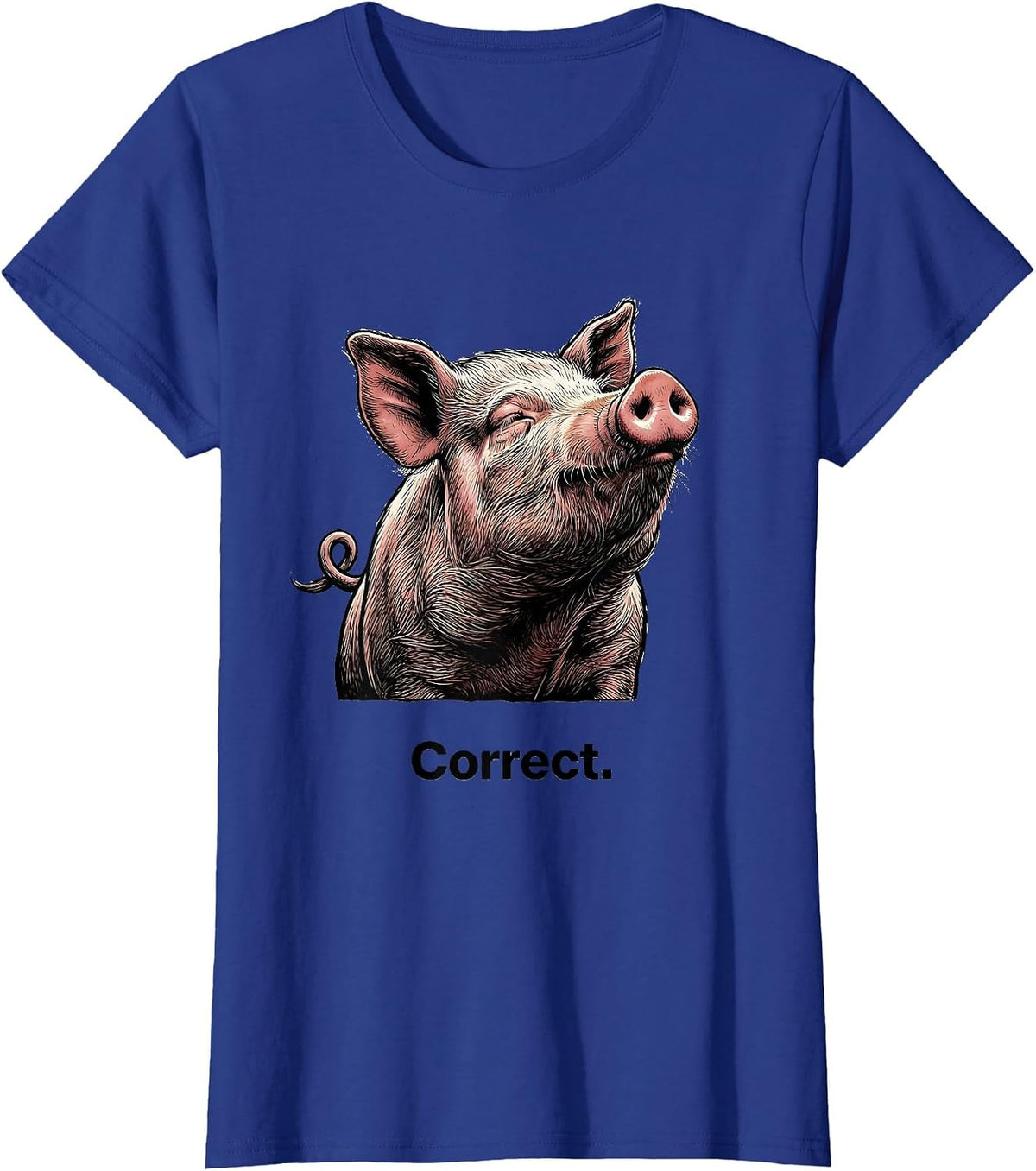 Women's Correct Funny Pig Farm Animal Lover Gift T-Shirt - Royal Blue