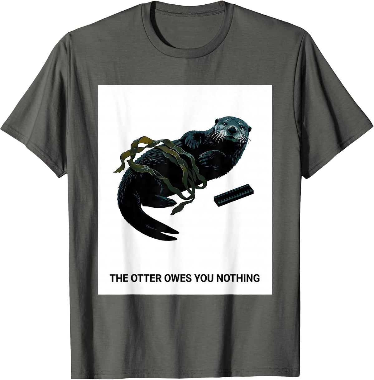 The Otter Owes You Nothing Minimalist National Parks Hiker T-Shirt - Asphalt Grey
