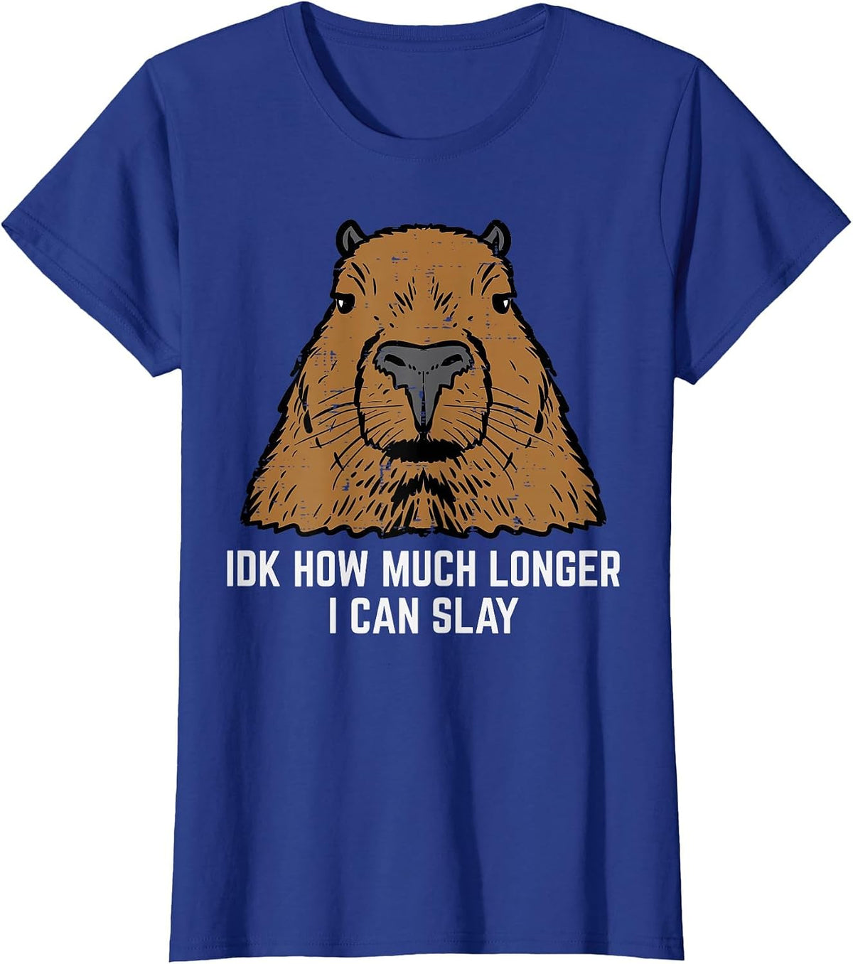 Capybara IDK How Much I Can Slay Capy Rodent Women Men Kids T-Shirt - Royal Blue