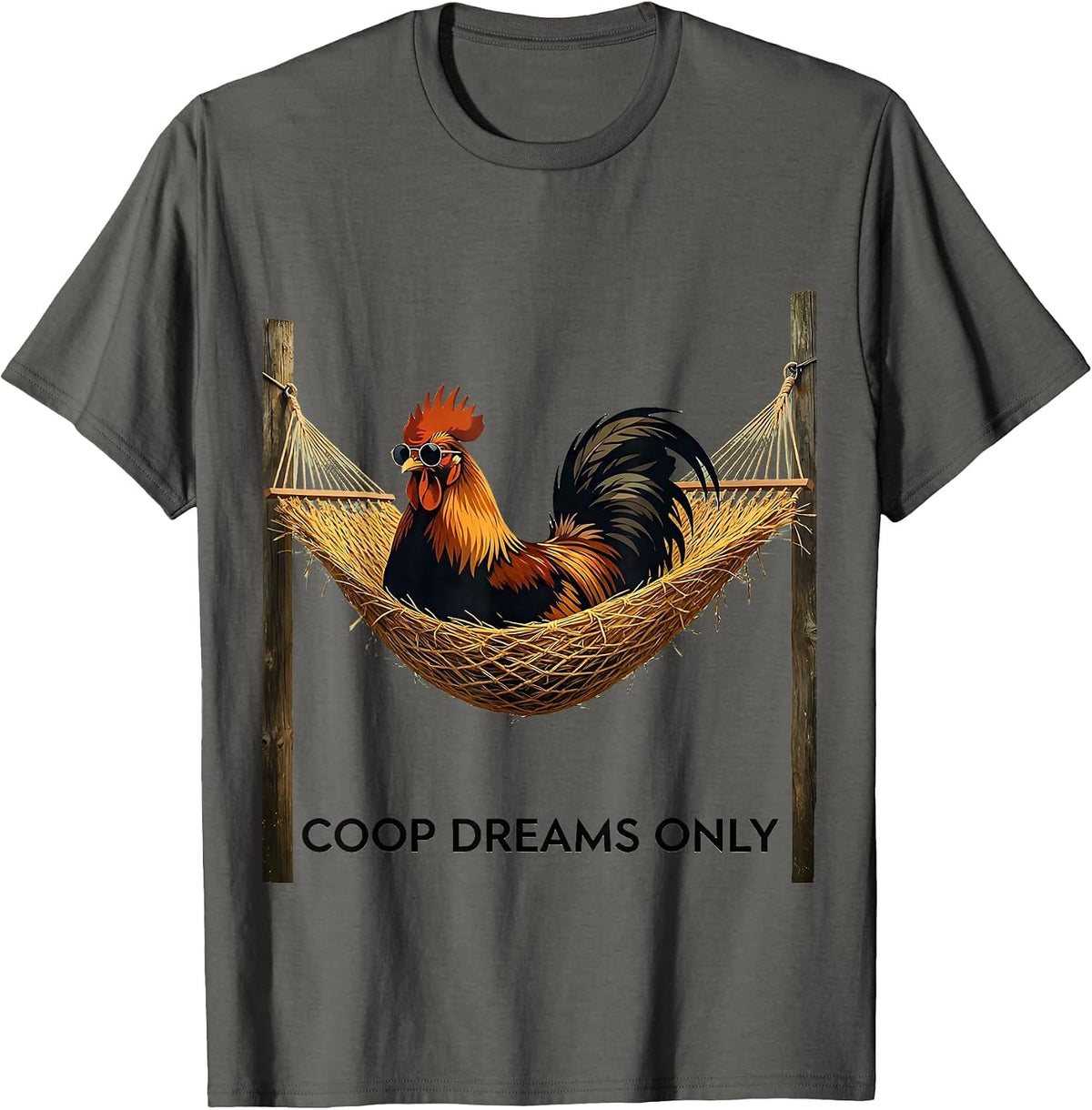Coop Dreams Only Funny Chicken Design T-Shirt - Asphalt Grey