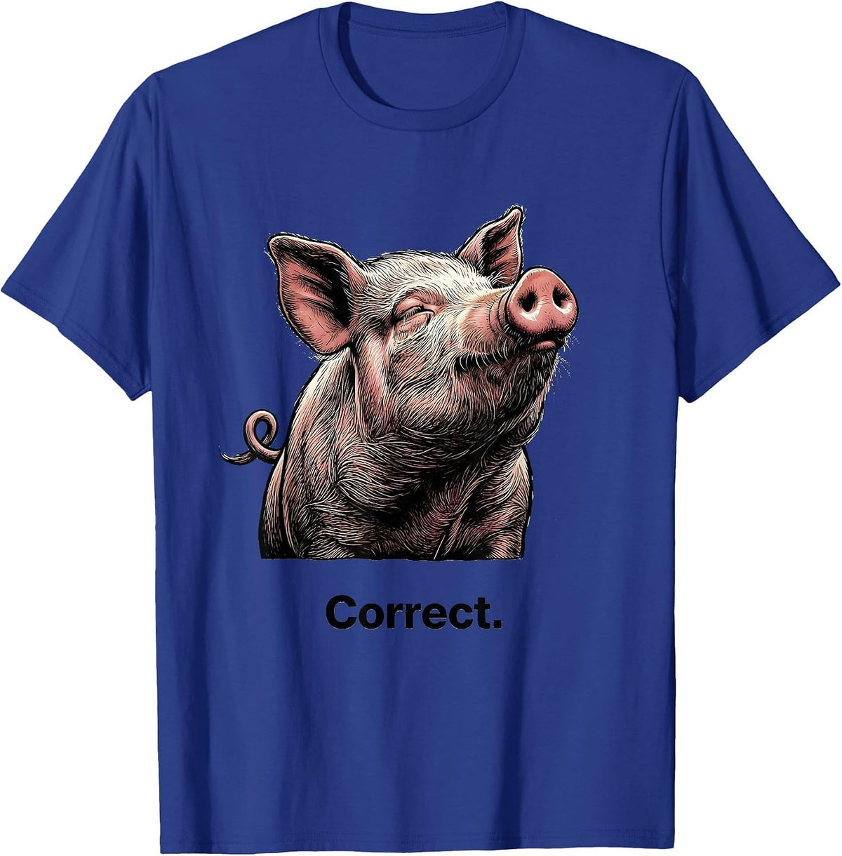 Men's Correct Funny Pig Farm Animal Lover Gift T-Shirt - Royal Blue