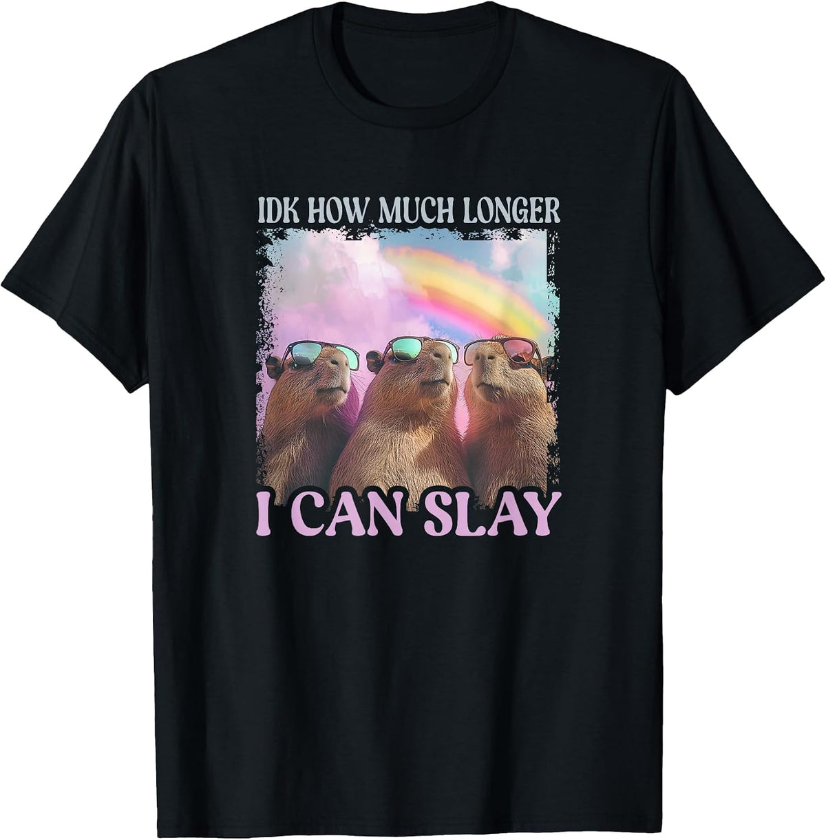 IDK How Much Longer I Can Slay - Capybara T-Shirt - Black