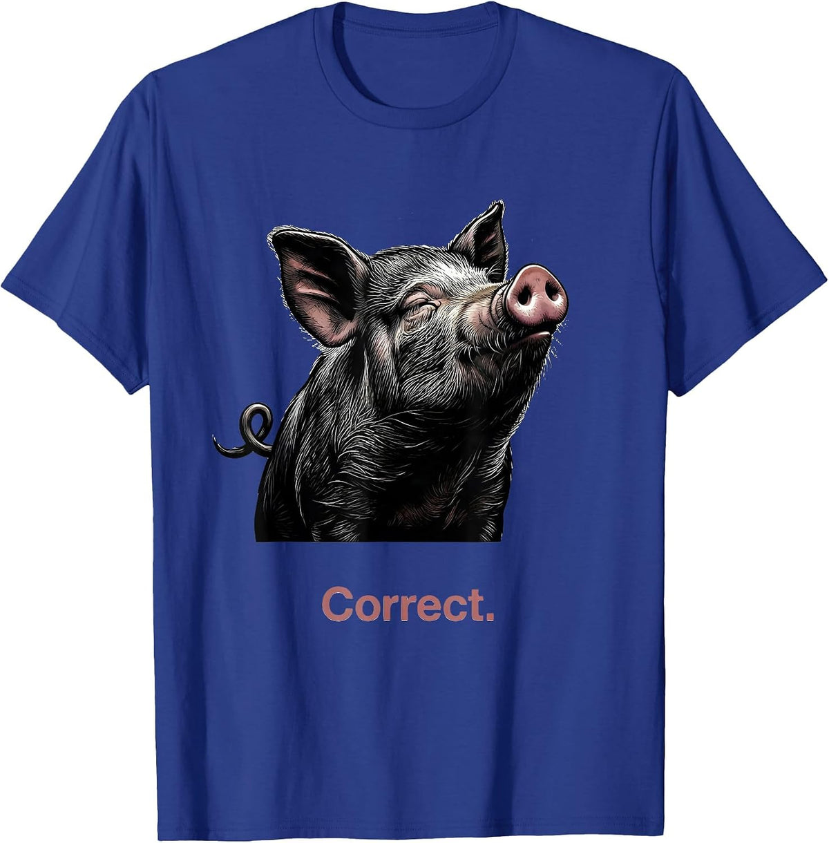 Correct Funny Pig Farm Animal Lover Gift T-Shirt - Royal Blue