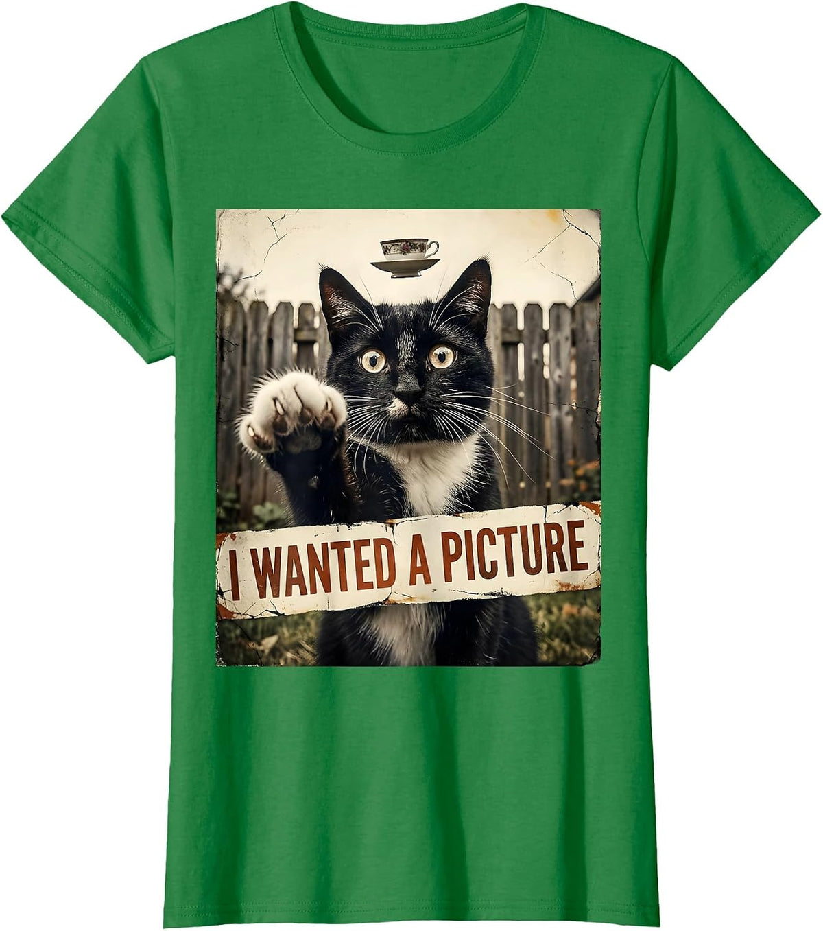 I Wanted A Picture Distressed Funny Cat UFO Meme Gift T-Shirt - Kelly Green
