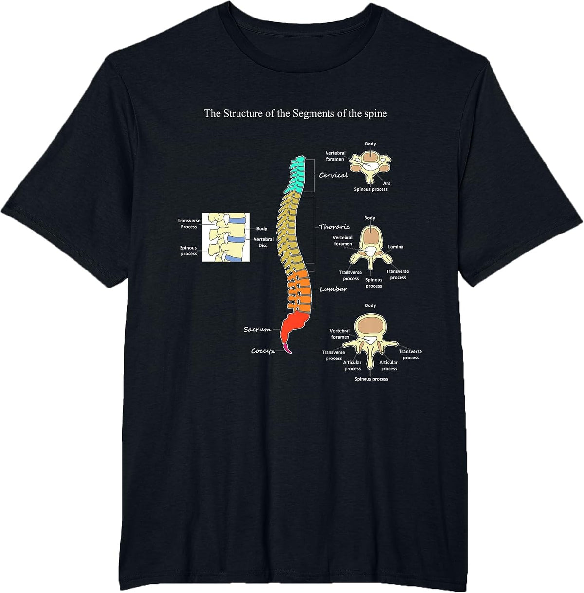 Spine Anatomy Artwork Chiropractic Medical Orthopedic T T-Shirt - Black