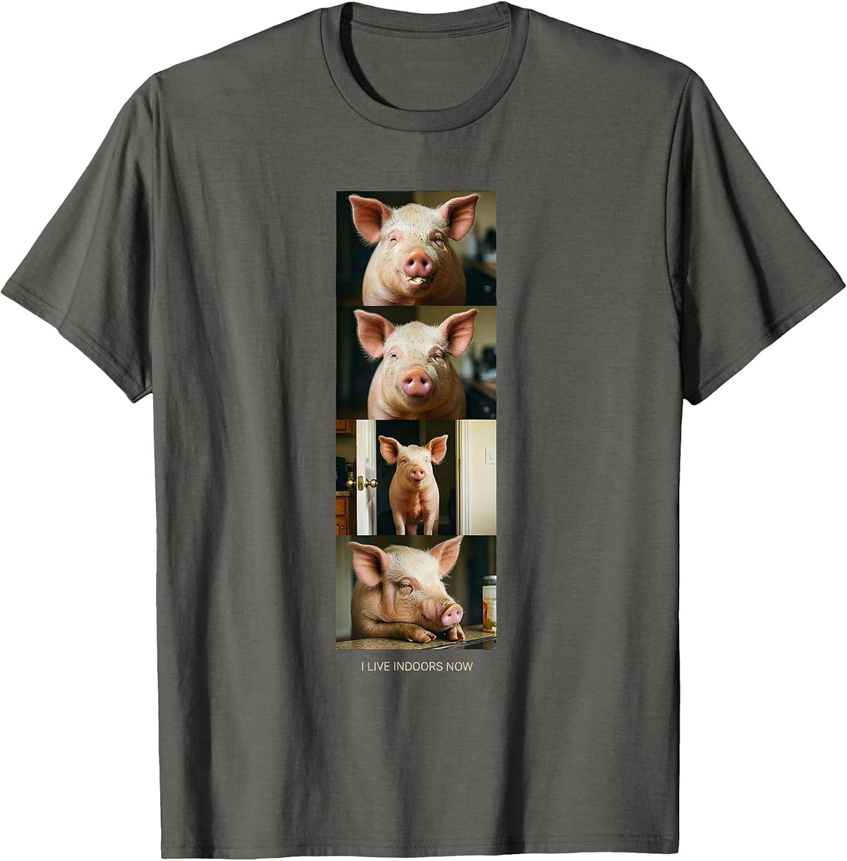 I Live Indoors Now Funny Pig Lover Pet Pig Owner Humor T-Shirt - Asphalt Grey