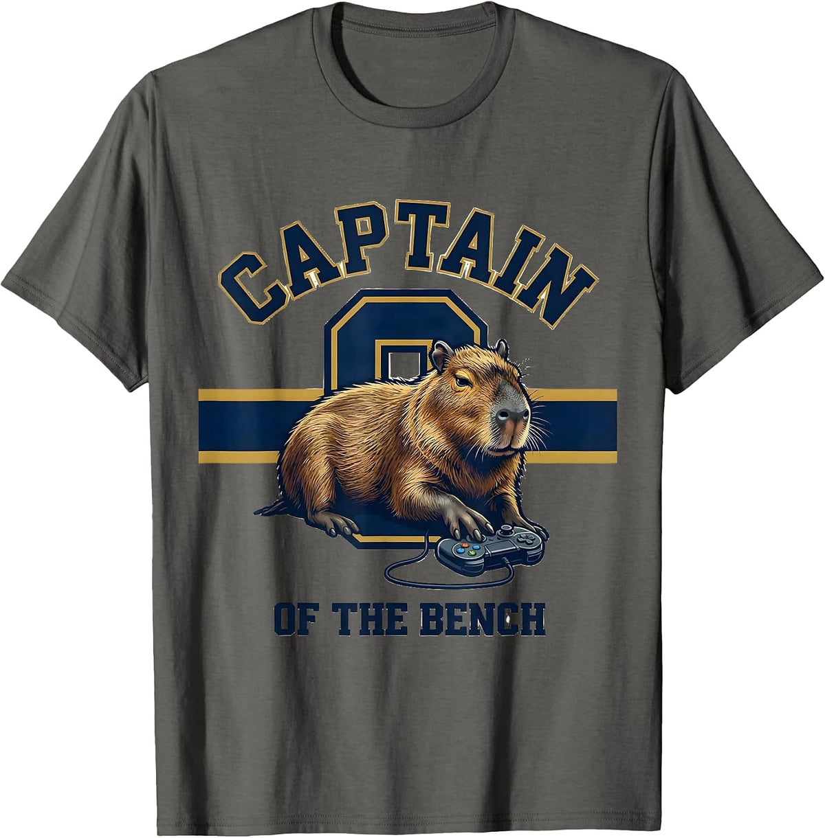 Captain of the Bench Funny Capybara Gamer Meme Humor T-Shirt - Asphalt Grey