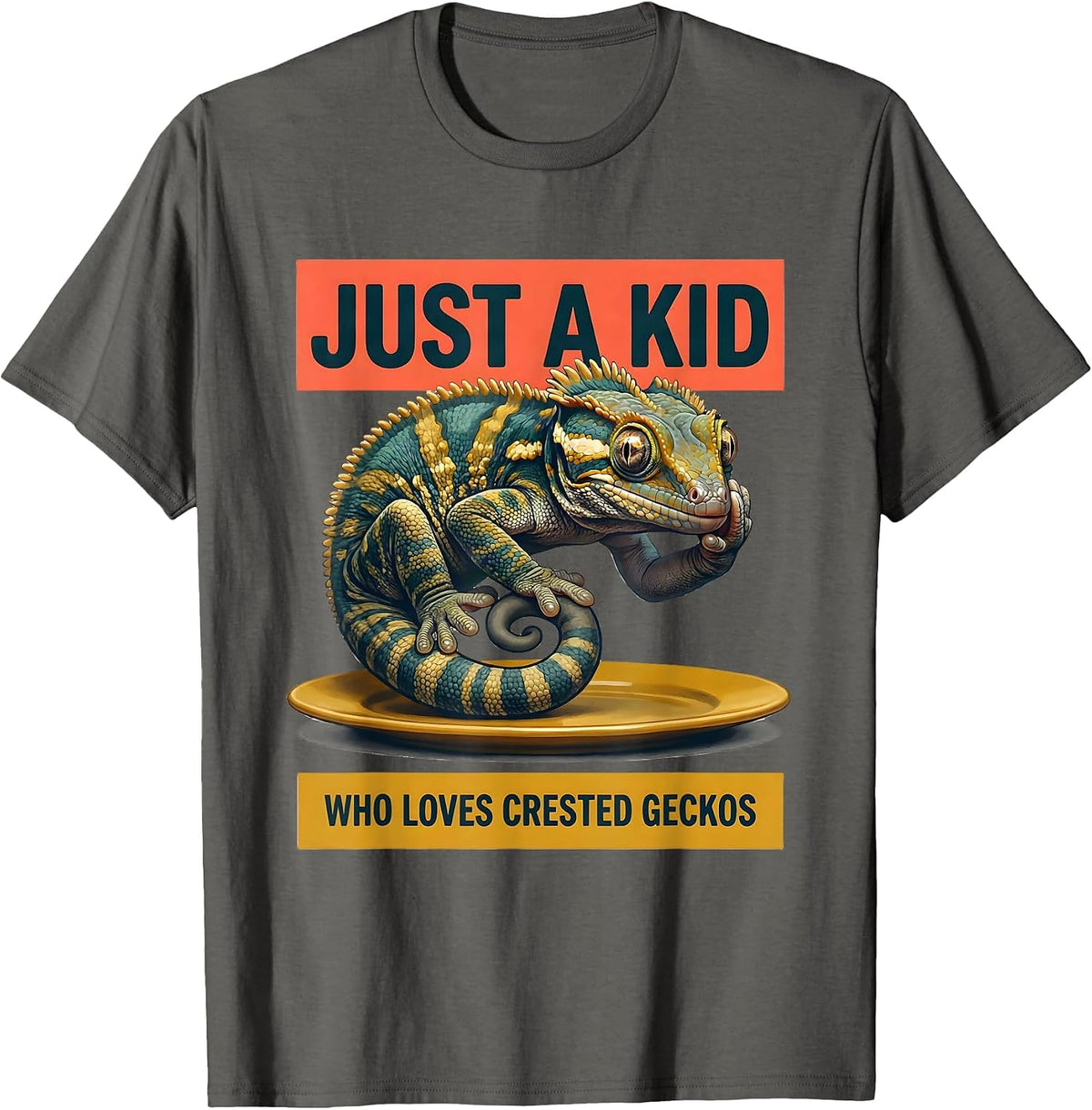 Just A Kid Who Loves Crested Geckos Funny Reptile Lover Gift T-Shirt - Asphalt Grey