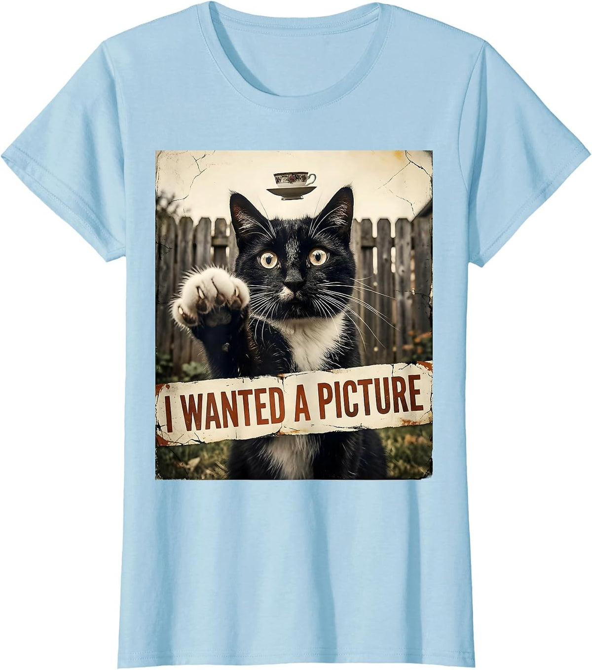 I Wanted A Picture Distressed Funny Cat UFO Meme Gift T-Shirt - Baby Blue