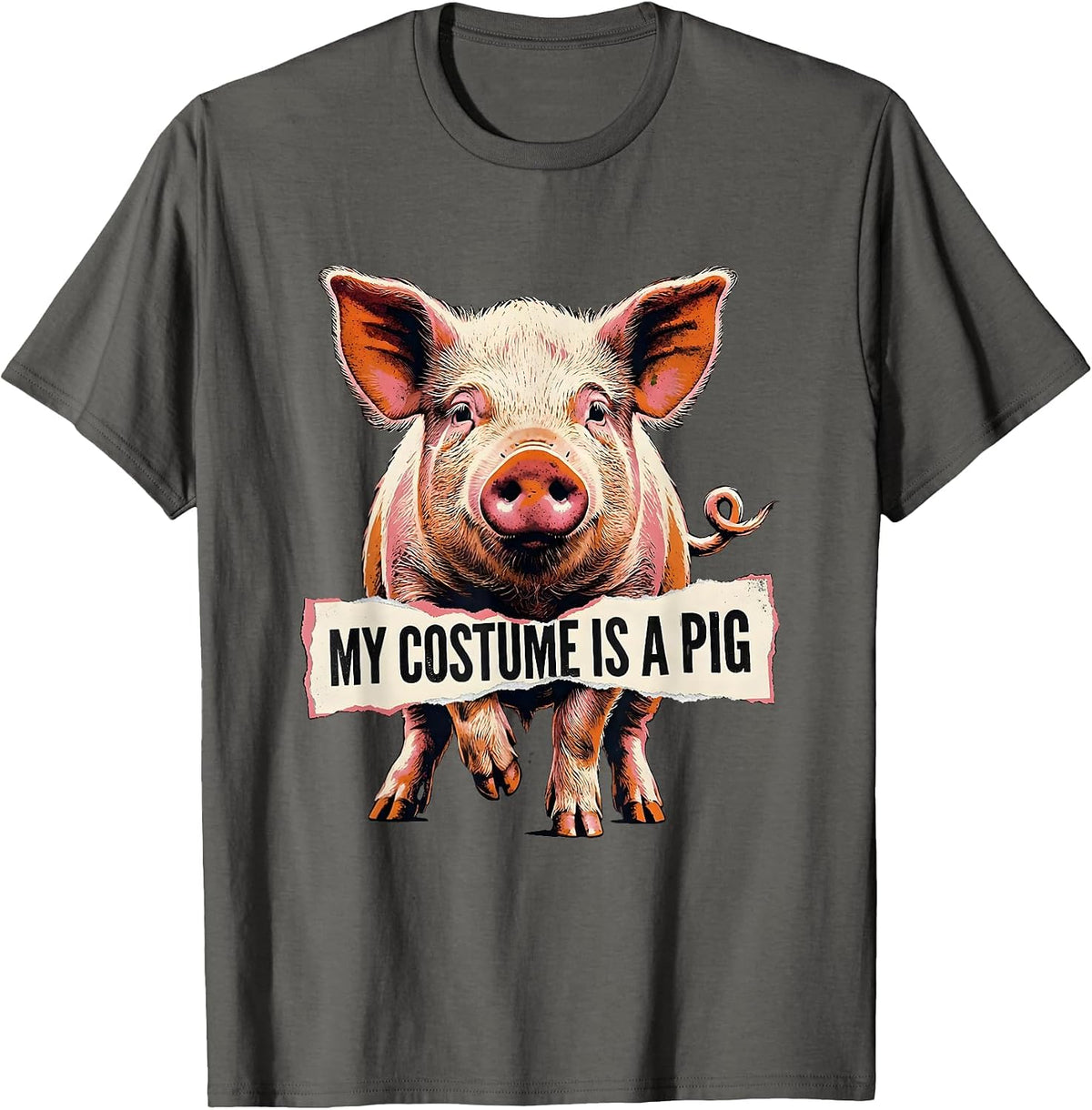 My Costume Is A Pig Funny Pig Lover Halloween Costume Humor T-Shirt - Asphalt Grey