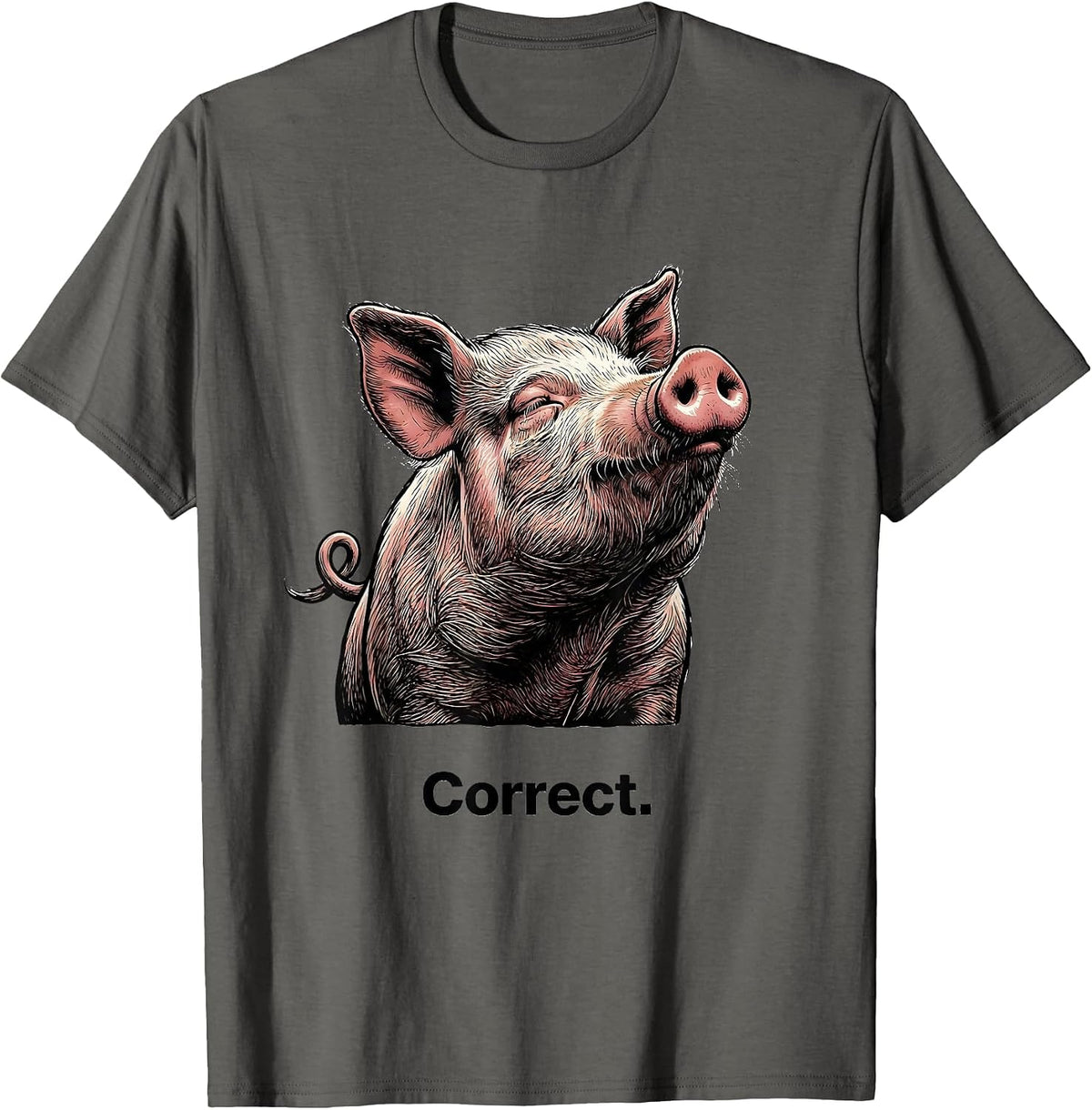 Men's Correct Funny Pig Farm Animal Lover Gift T-Shirt - Asphalt Grey