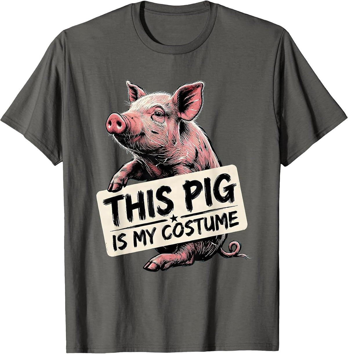 This Pig Is My Costume Funny Pig Lover Halloween Costume T-Shirt - Asphalt Grey