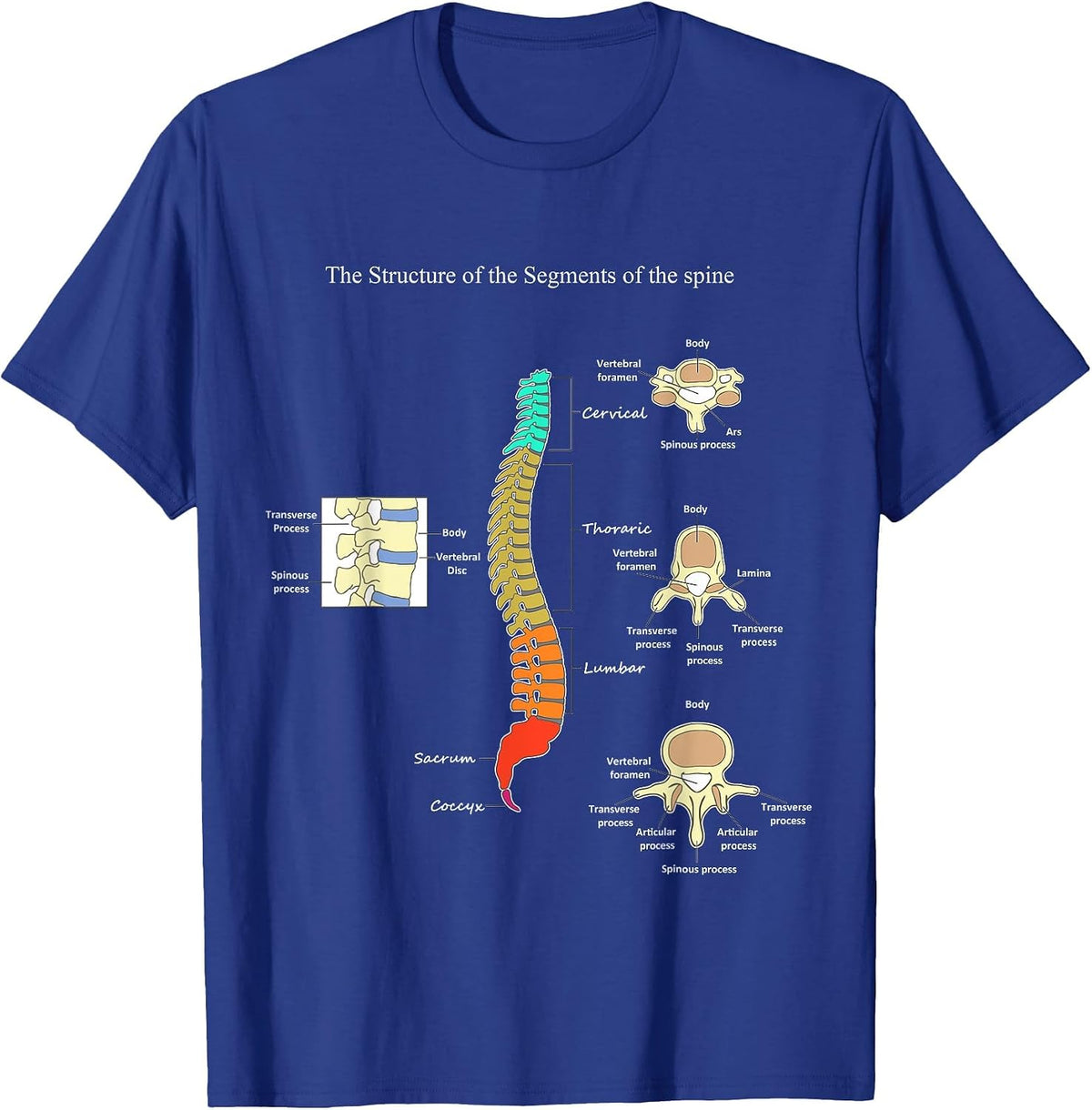 Spine Anatomy Artwork Chiropractic Medical Orthopedic T T-Shirt - Royal Blue