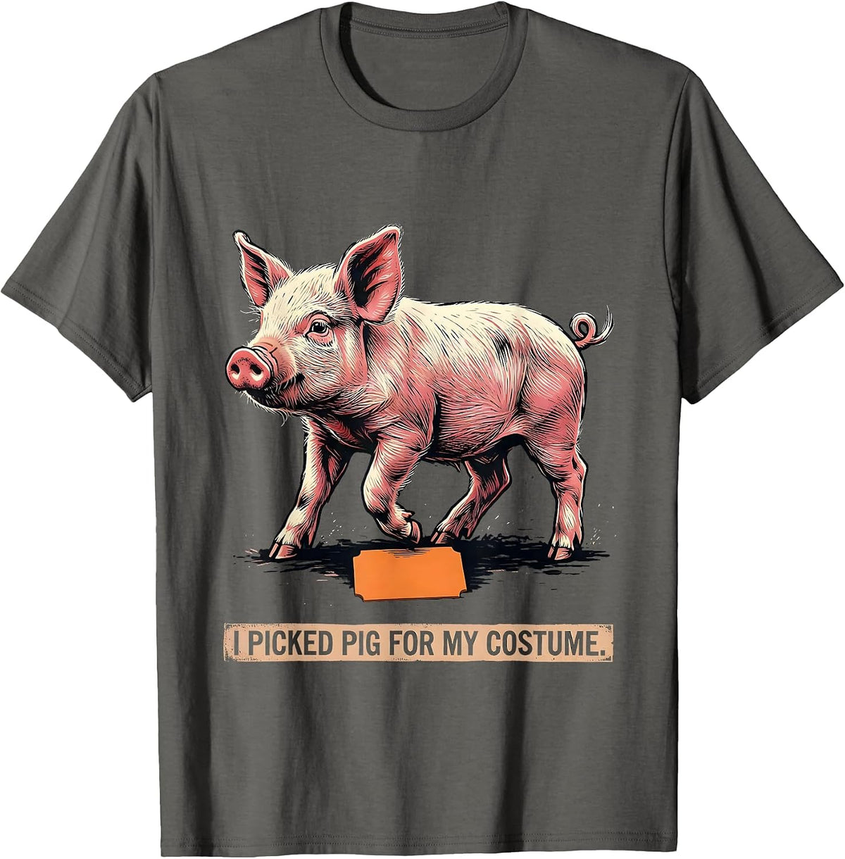 I Picked Pig For My Costume Funny Pig Lover Halloween T-Shirt - Asphalt Grey