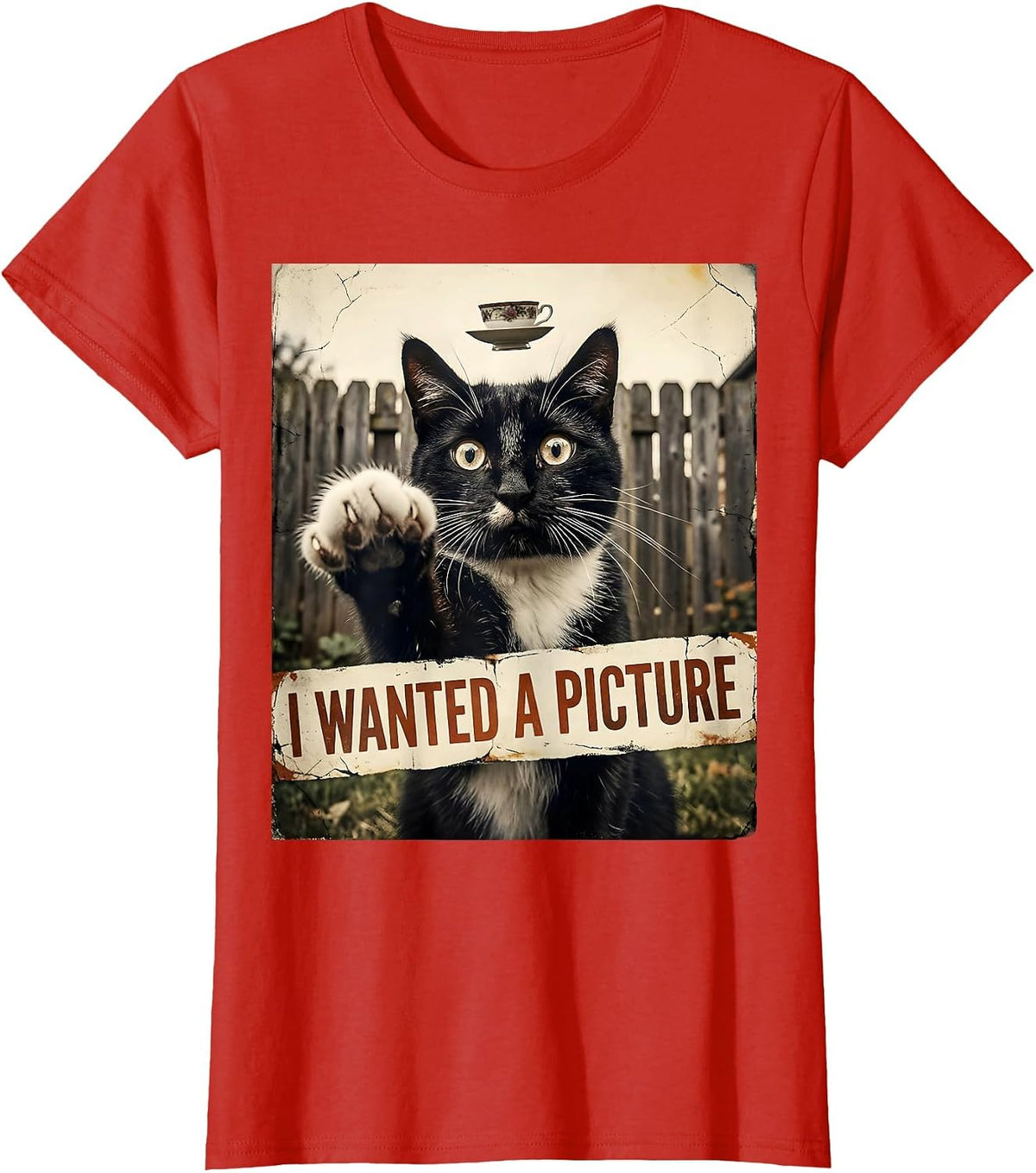 I Wanted A Picture Distressed Funny Cat UFO Meme Gift T-Shirt - Red
