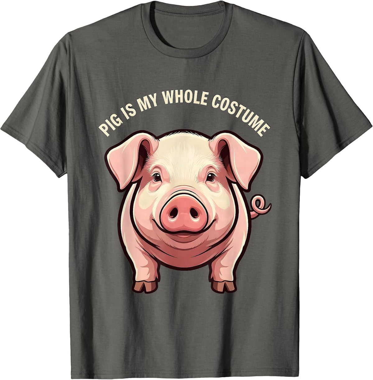 Men's Pig Is My Whole Costume Funny Pig Lover Halloween Costume T-Shirt - Asphalt Grey