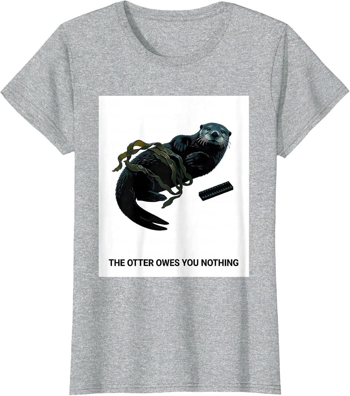 The Otter Owes You Nothing Minimalist National Parks Hiker T-Shirt - Heather Grey