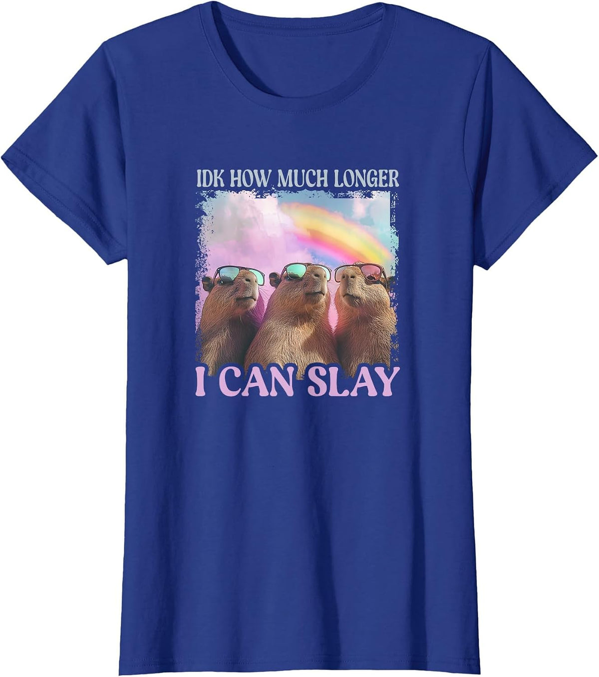 IDK How Much Longer I Can Slay - Capybara T-Shirt - Royal Blue