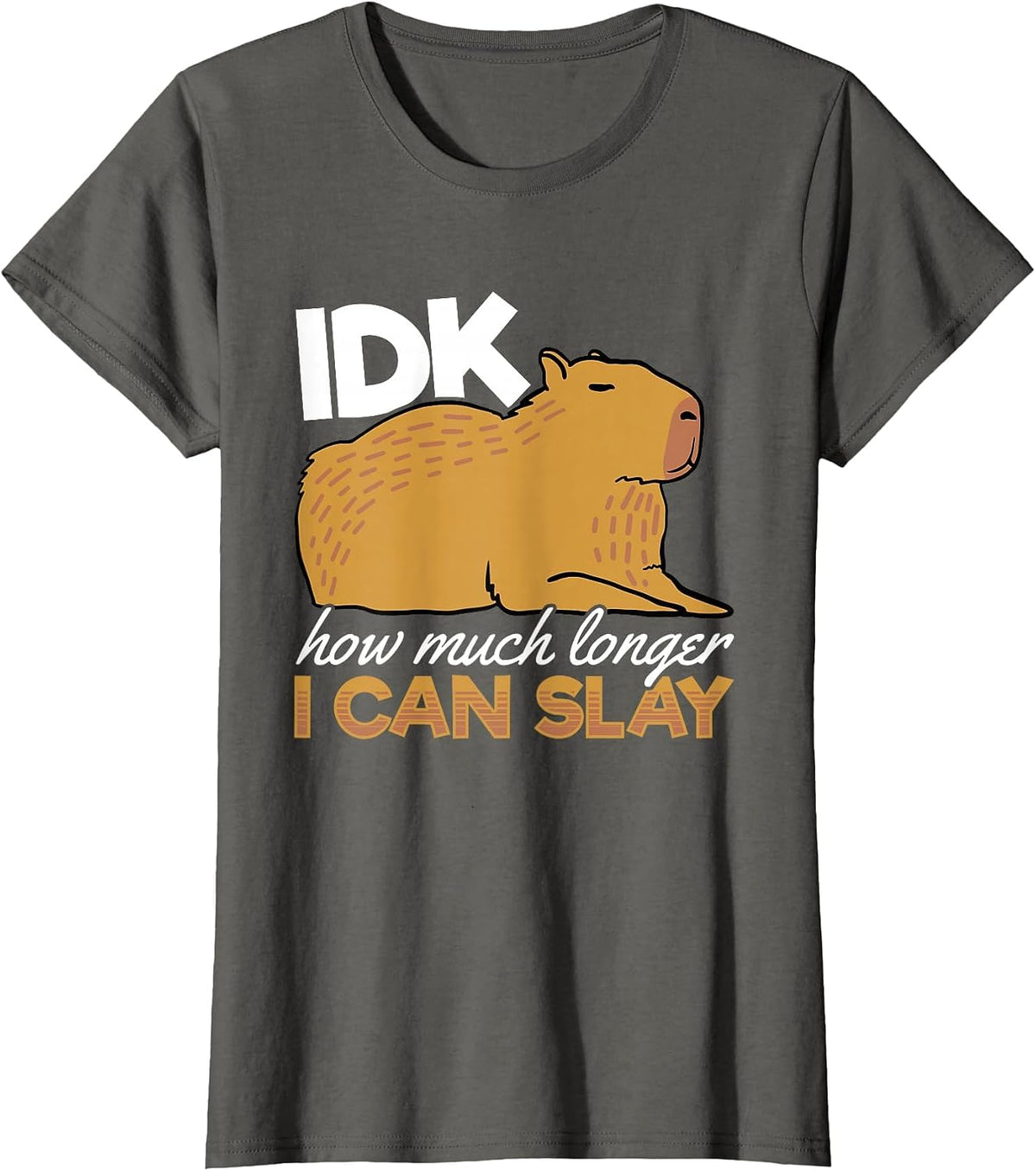 Capybara Animals Pet - IDK How Much Longer I Can Slay T-Shirt - Asphalt Grey