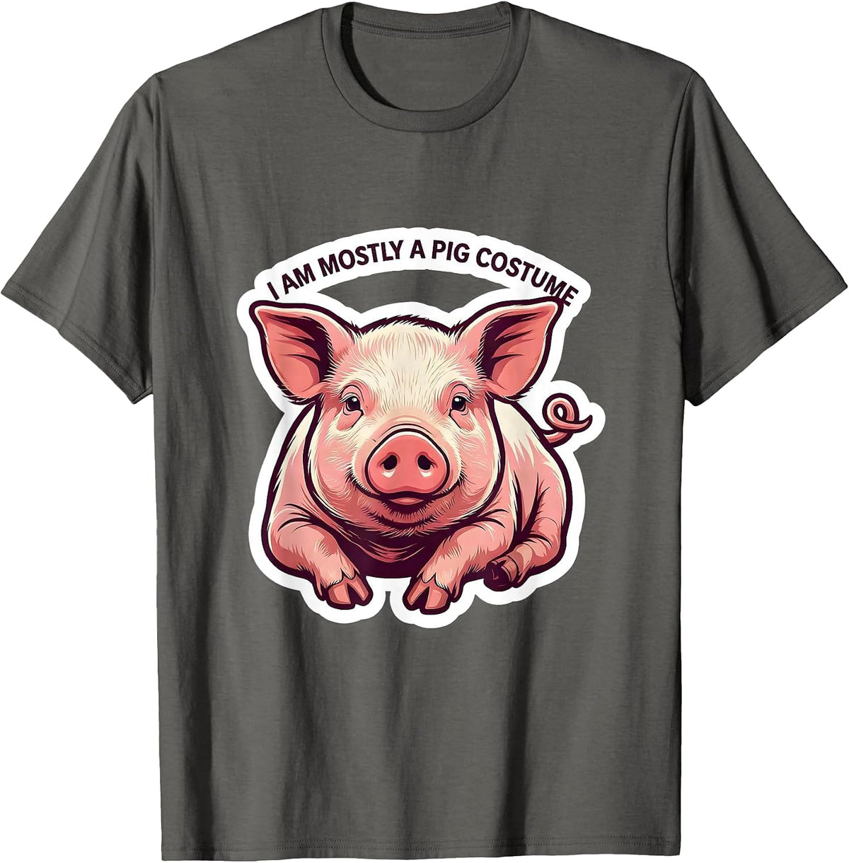 I Am Mostly A Pig Costume Funny Pig Lover Halloween Humor T-Shirt - Asphalt Grey