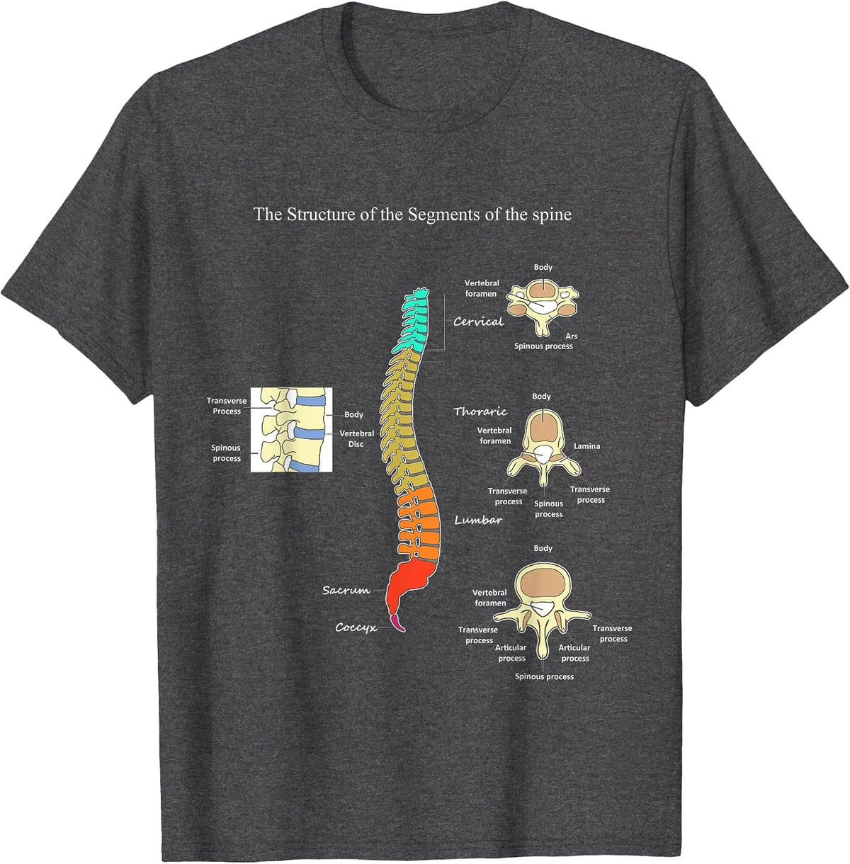 Spine Anatomy Artwork Chiropractic Medical Orthopedic T T-Shirt - Dark Heather Grey