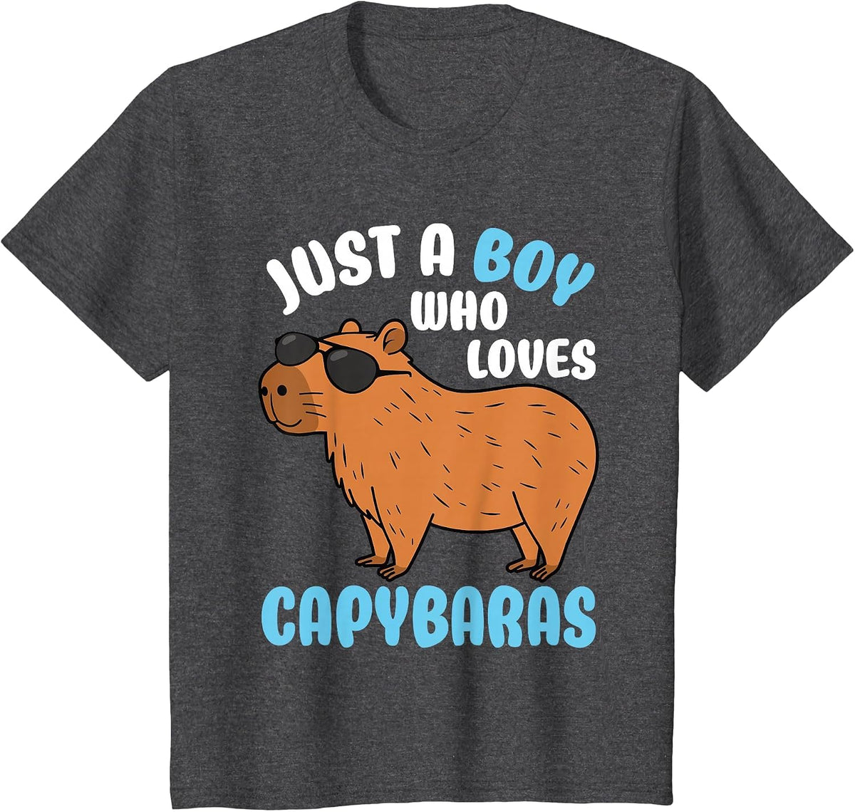 Just A Boy Who Loves Capybaras Rodent Capybara Lover T-Shirt - Dark Heather Grey