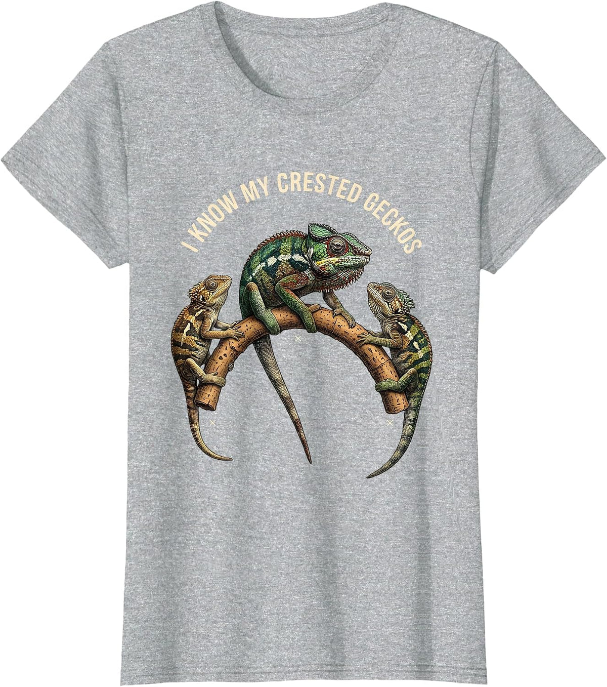 I Know My Crested Geckos Funny Reptile Lover Pet Humor T-Shirt - Heather Grey