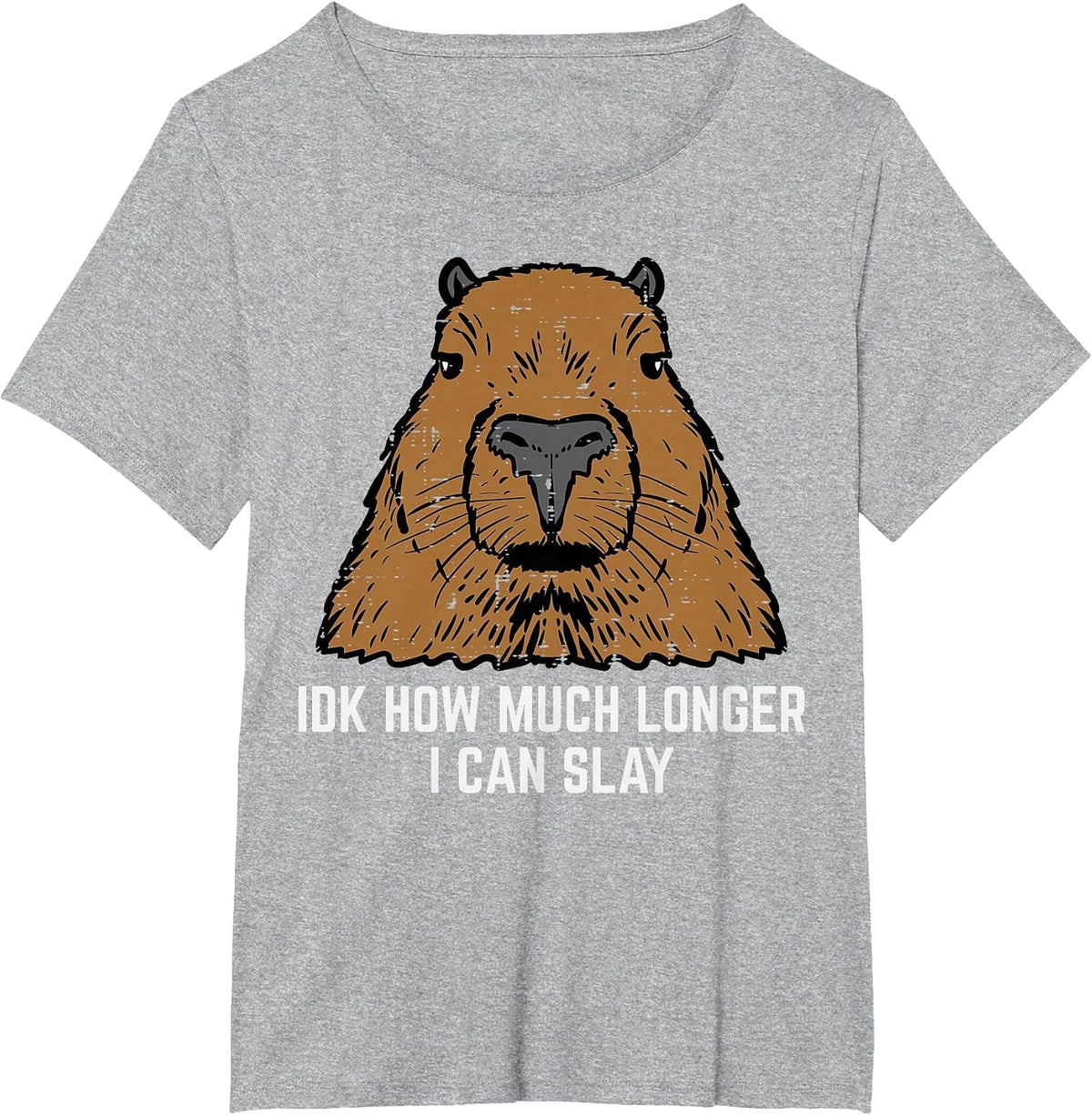 Capybara IDK How Much I Can Slay Capy Rodent Women Men Kids T-Shirt - Heather Grey