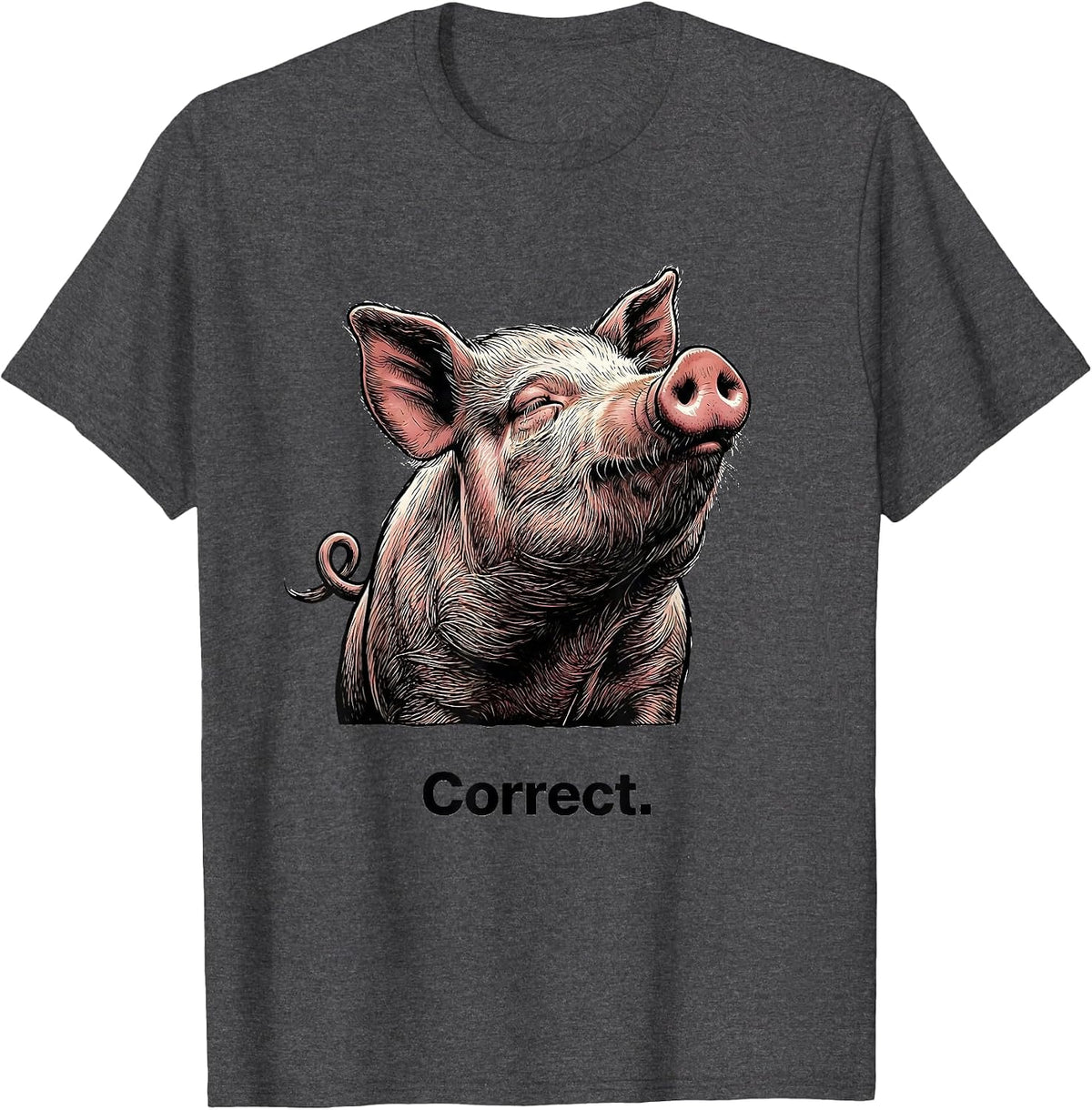 Men's Correct Funny Pig Farm Animal Lover Gift T-Shirt - Dark Heather Grey