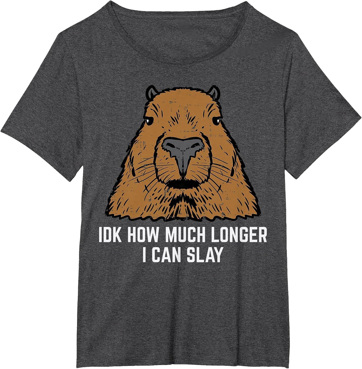 Capybara IDK How Much I Can Slay Capy Rodent Women Men Kids T-Shirt - Dark Heather Grey