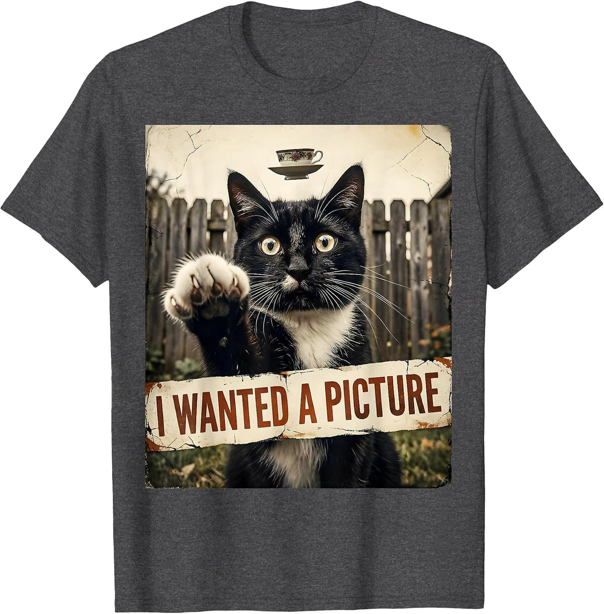 I Wanted A Picture Distressed Funny Cat UFO Meme Gift T-Shirt - Dark Heather Grey