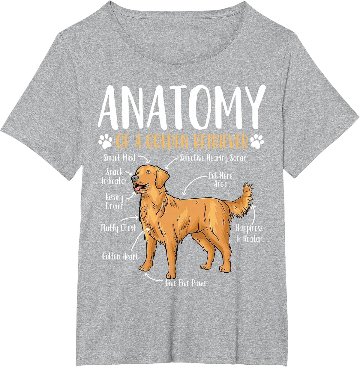 Golden Retriever Dog Anatomy T-Shirt - Heather Grey