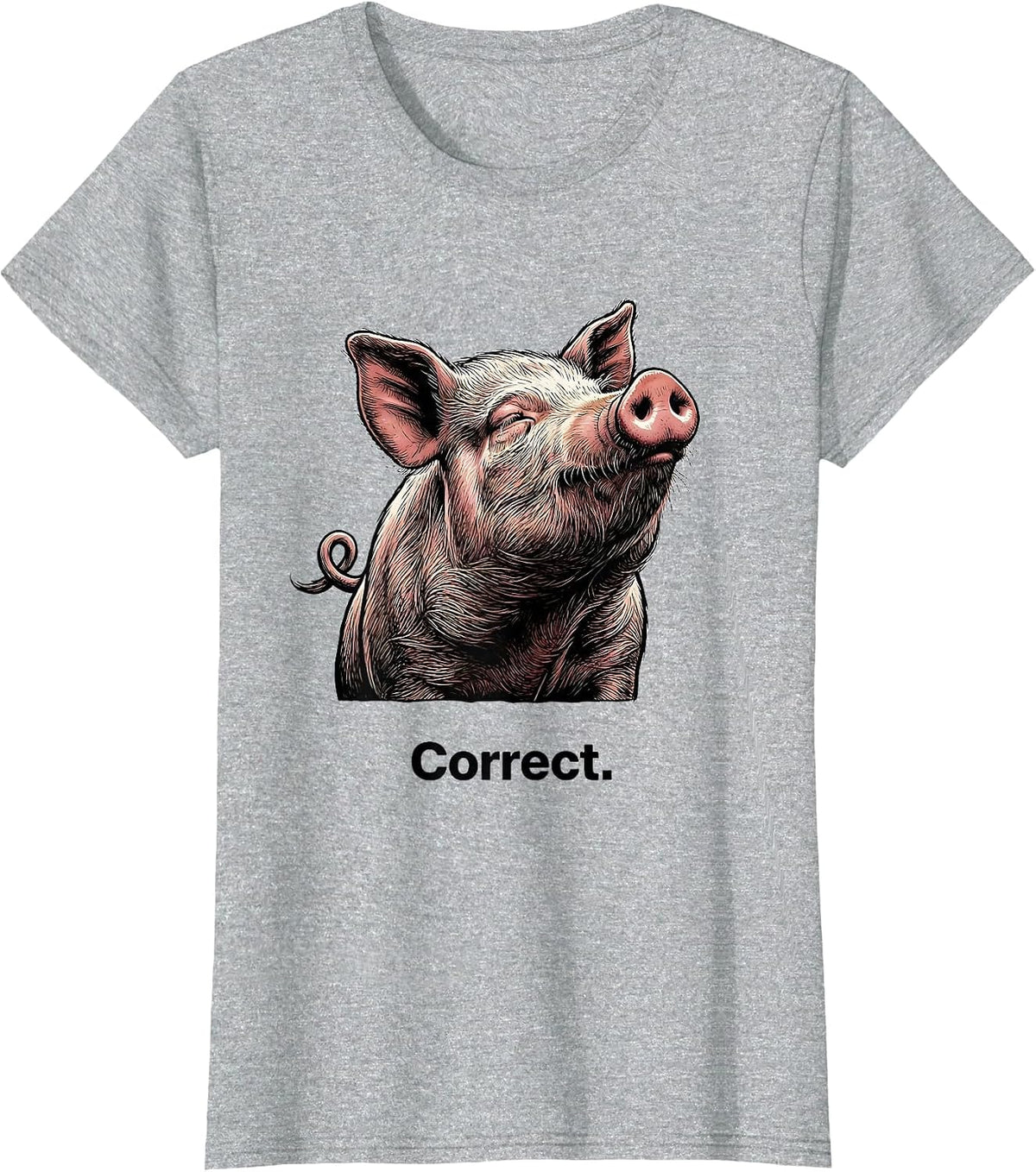 Women's Correct Funny Pig Farm Animal Lover Gift T-Shirt - Heather Grey