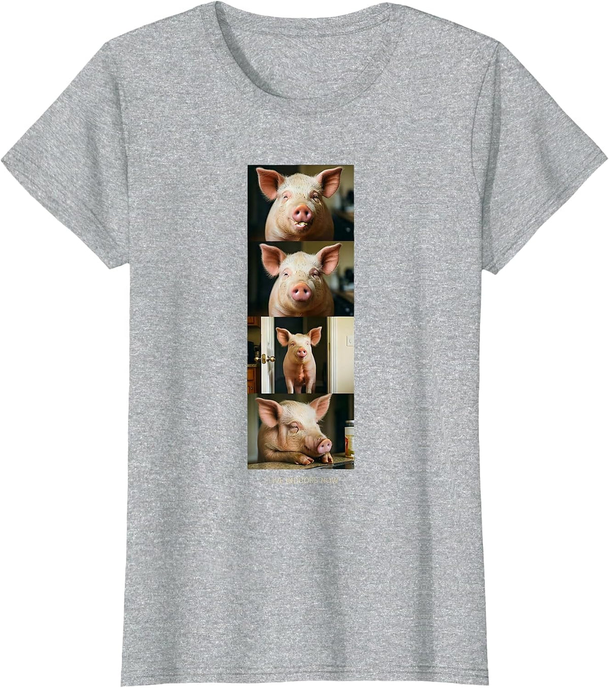 I Live Indoors Now Funny Pig Lover Pet Pig Owner Humor T-Shirt - Heather Grey