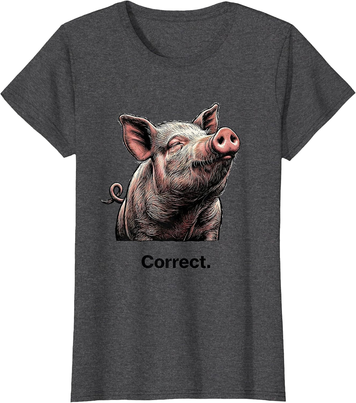 Women's Correct Funny Pig Farm Animal Lover Gift T-Shirt - Dark Heather Grey