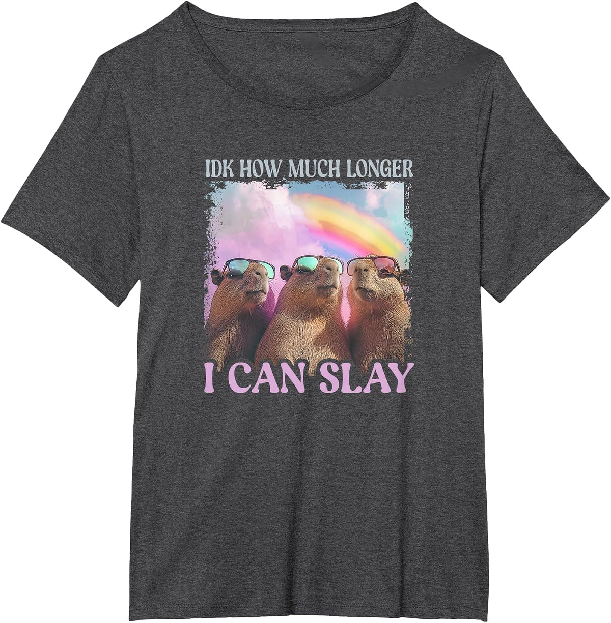 IDK How Much Longer I Can Slay - Capybara T-Shirt - Dark Heather Grey